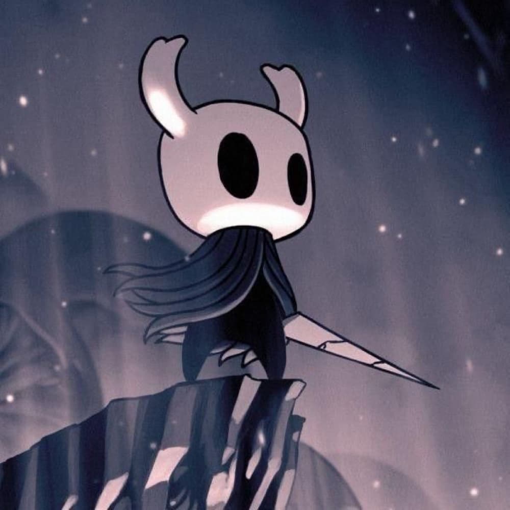 Hollow knight