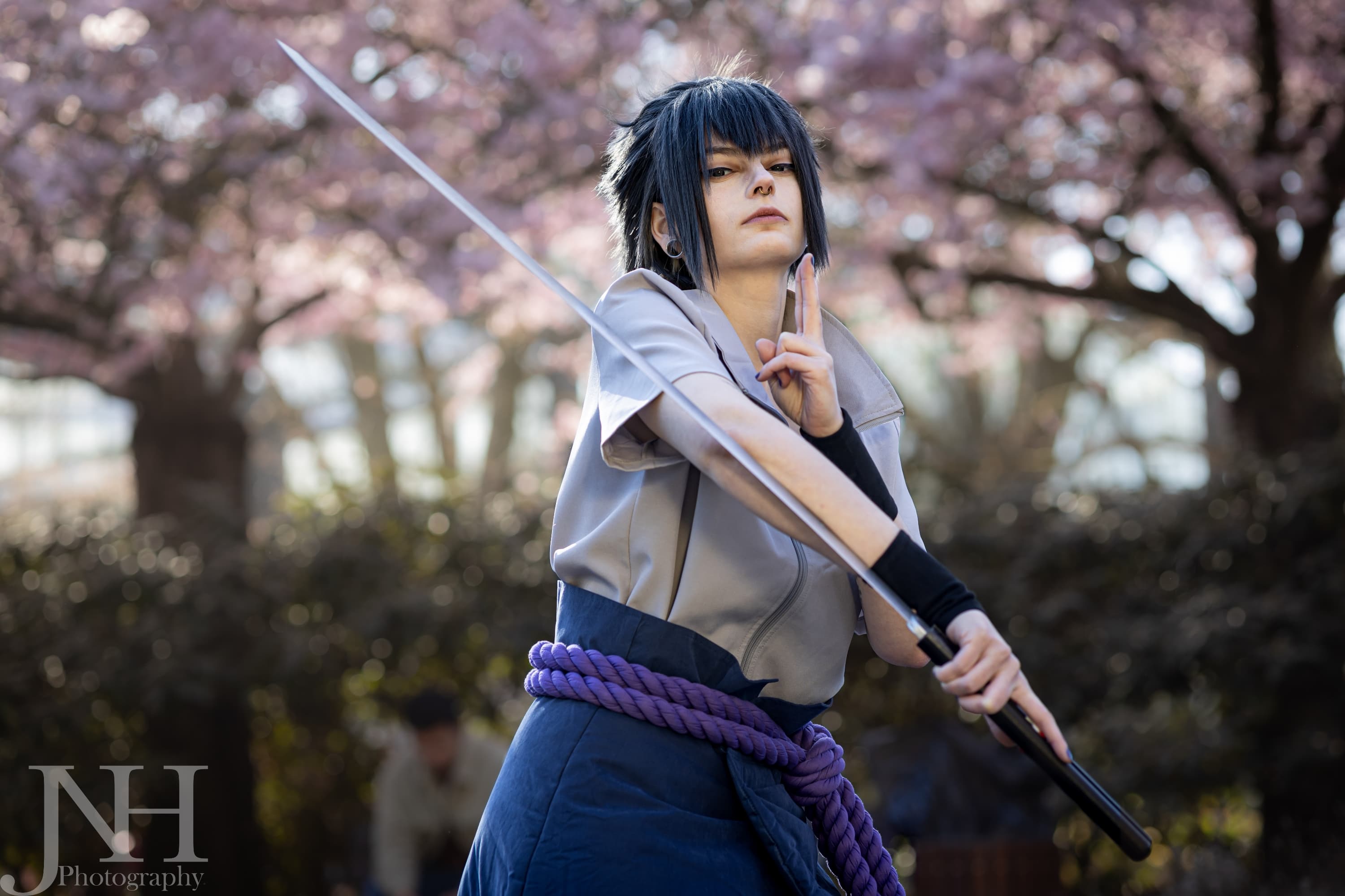 Cherry Blossoms - Photo 4