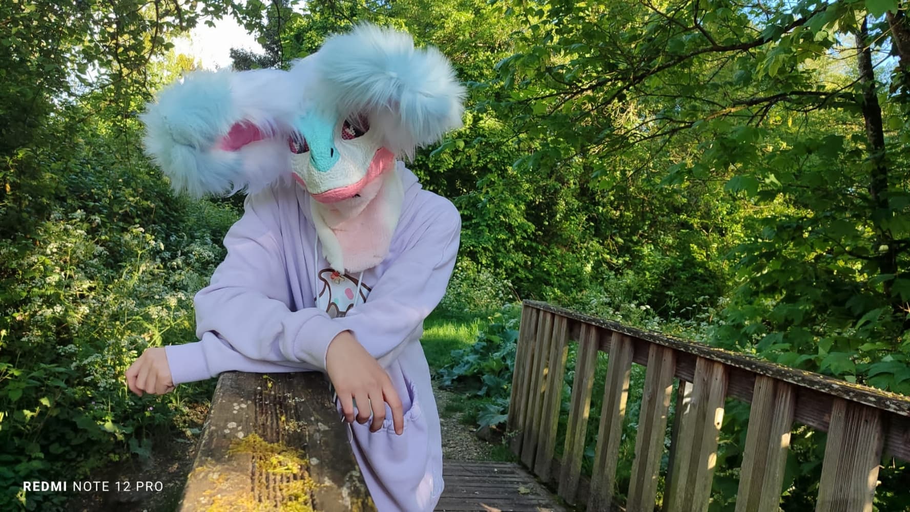 Debut du printemps  - Photo 19