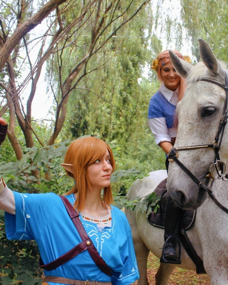 Link (Botw) - Photo 3