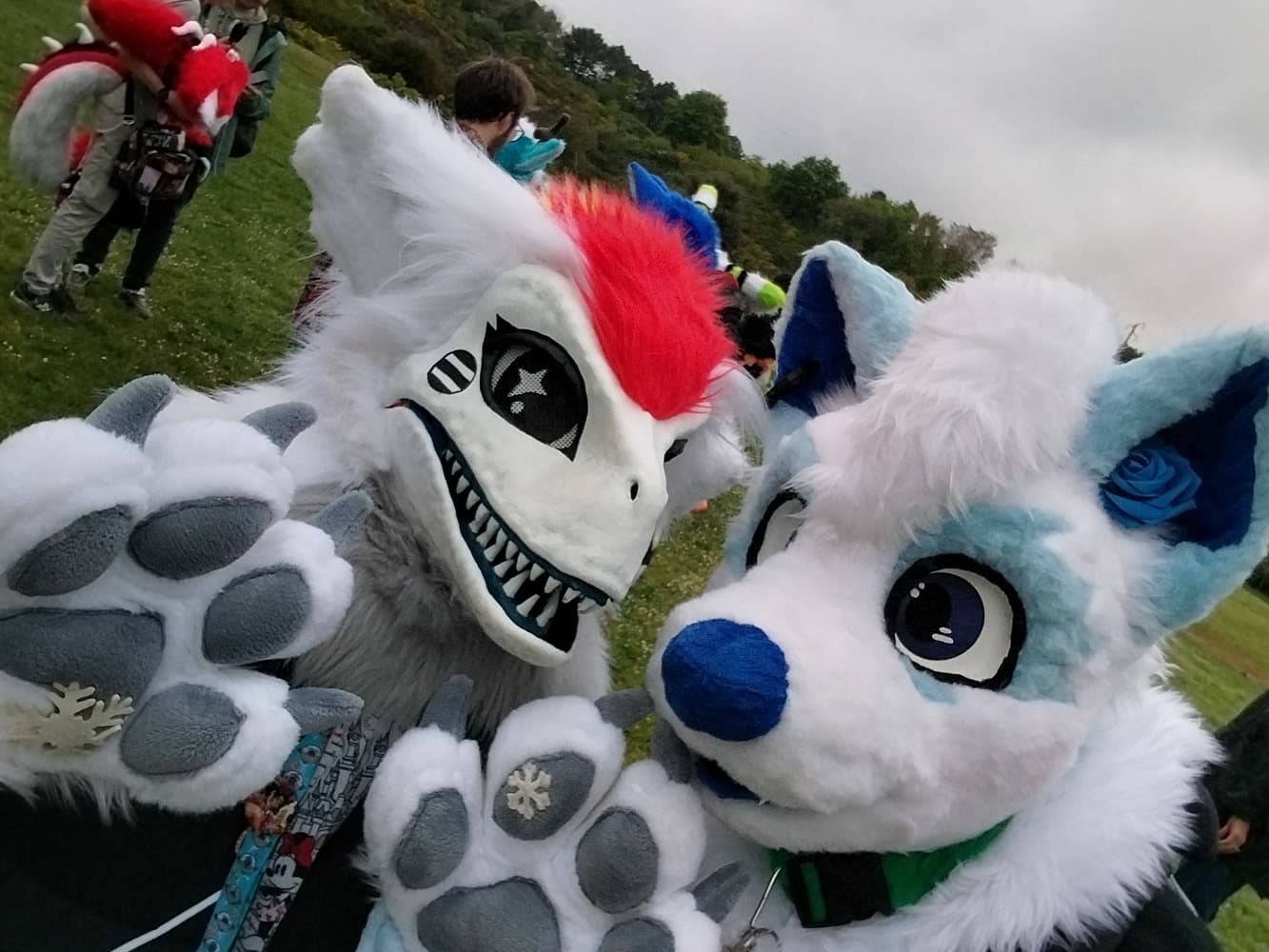 Titan à japanante - Photo 2