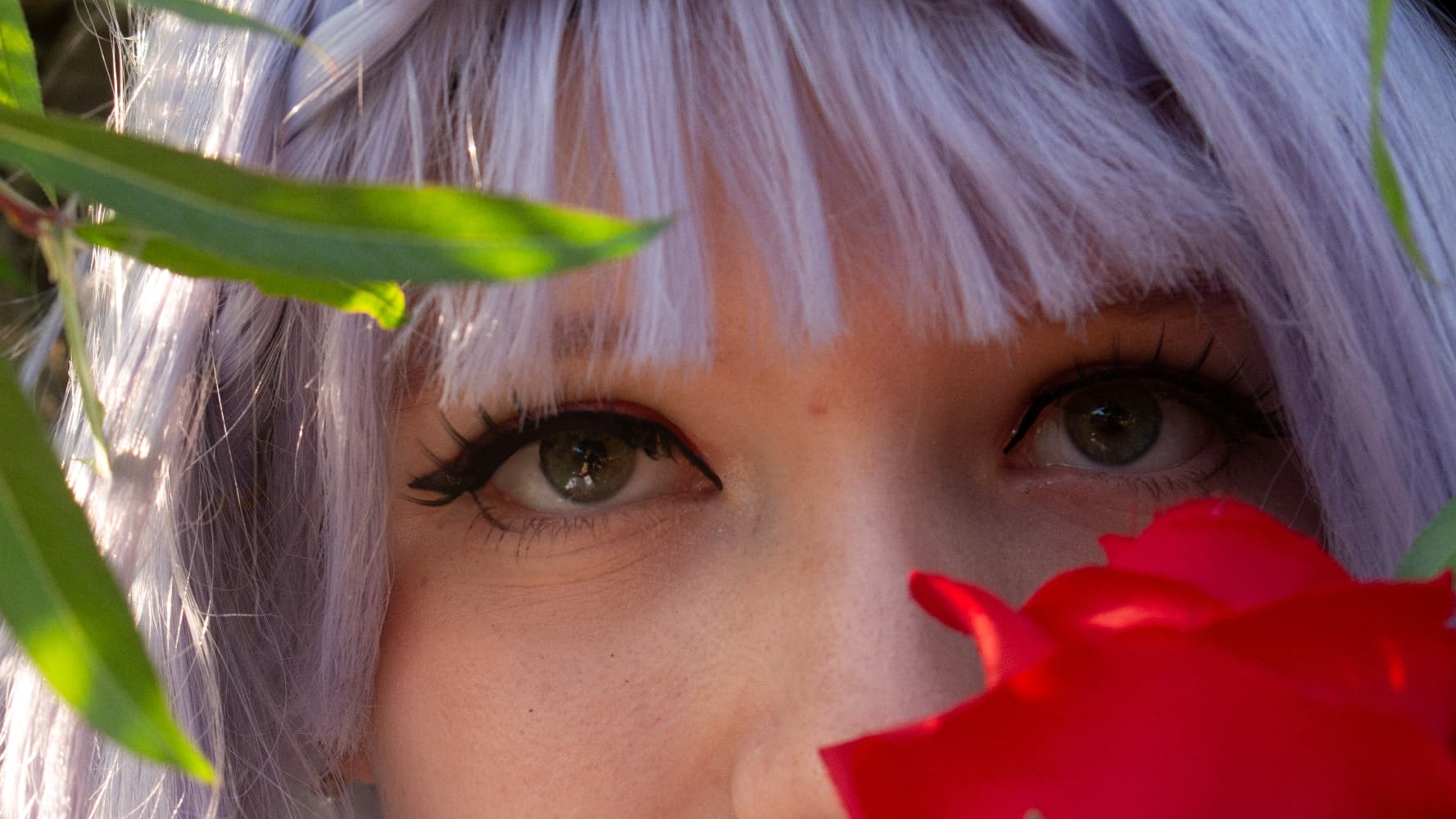 🥀 Noëlle 🌹 - Photo 5