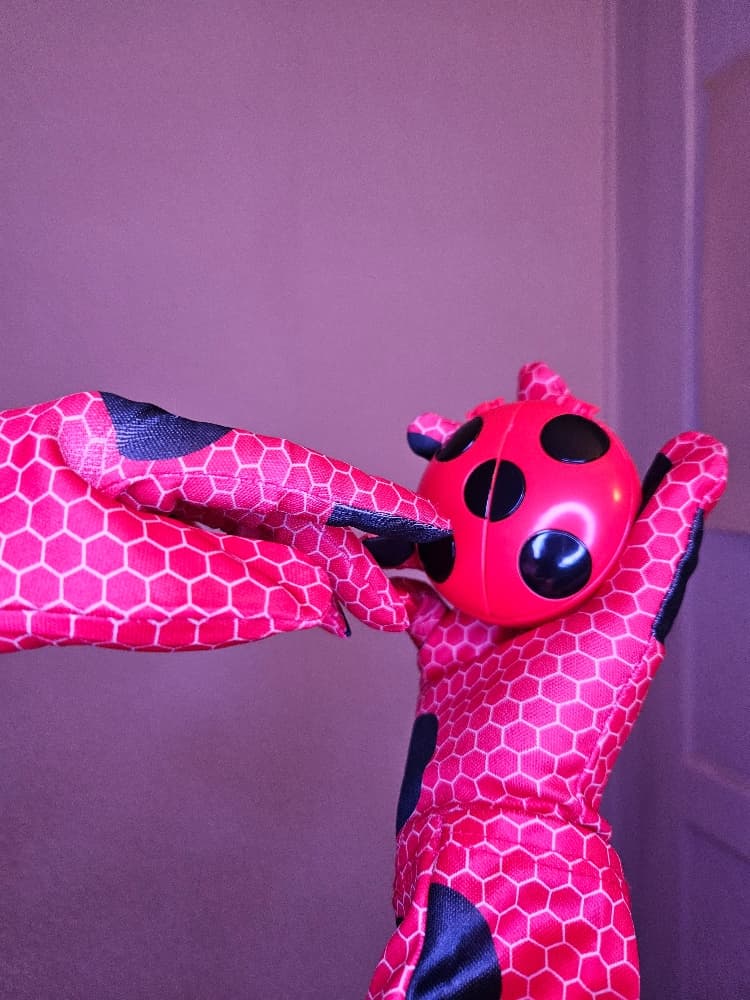 Ladybug - Photo 2