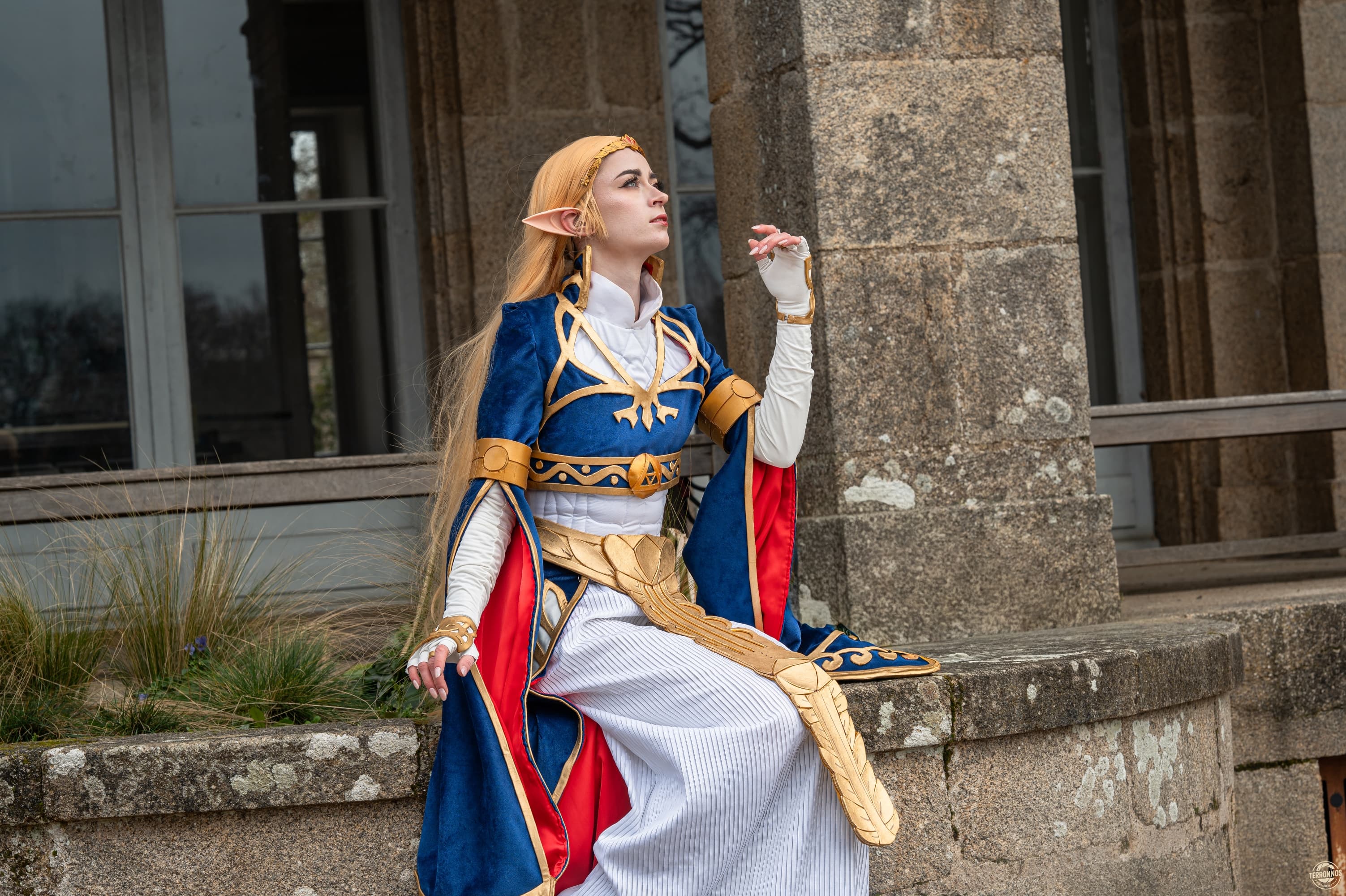 Zelda Royal Dress - Photo 5