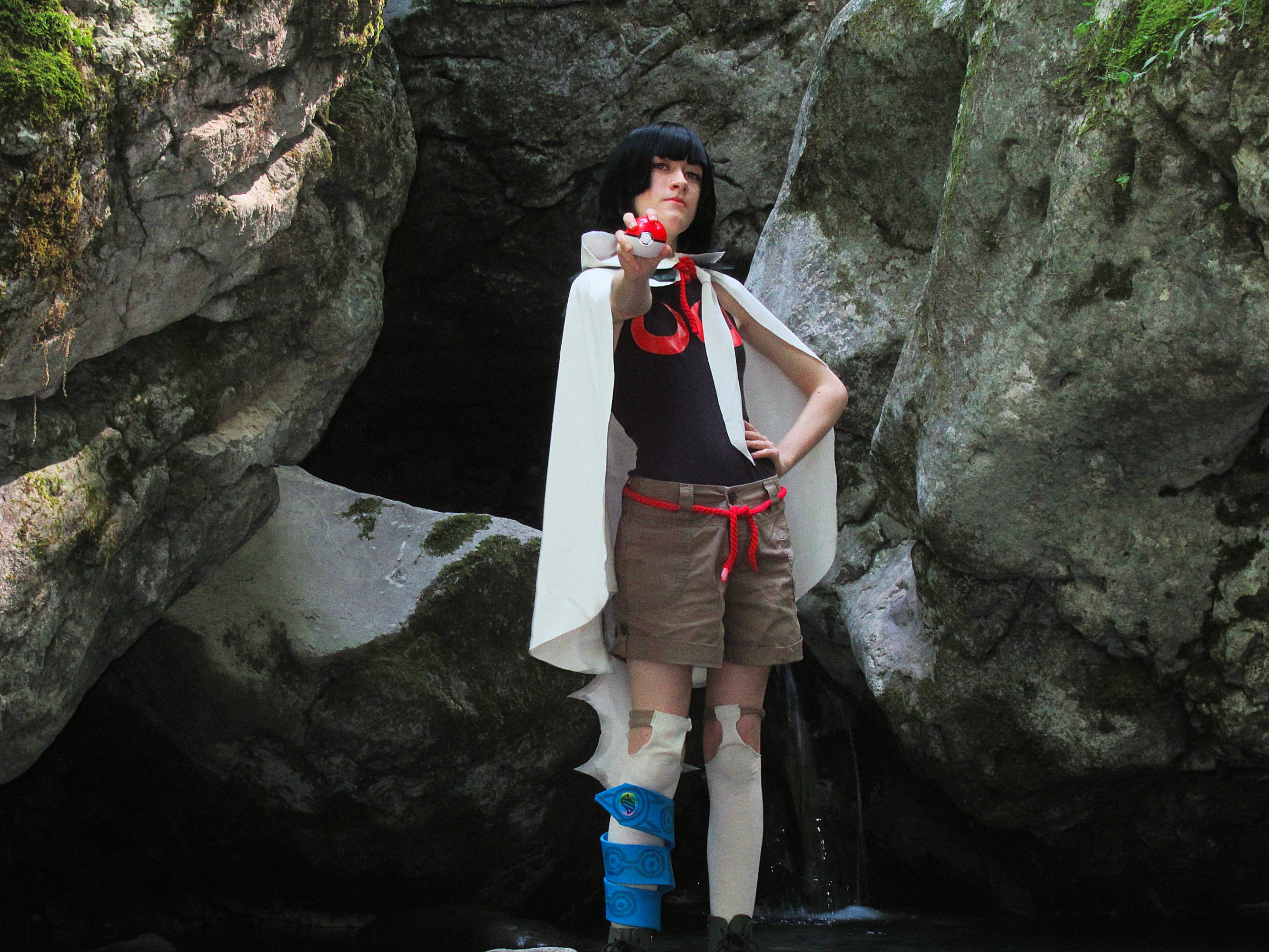 Amaryllis P1  - Photo 1