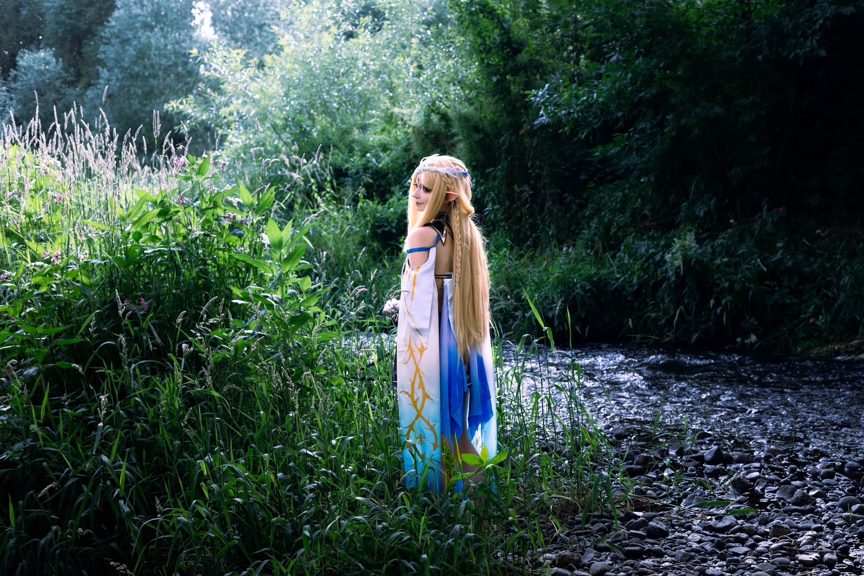 Cartethyia  - Photo 16