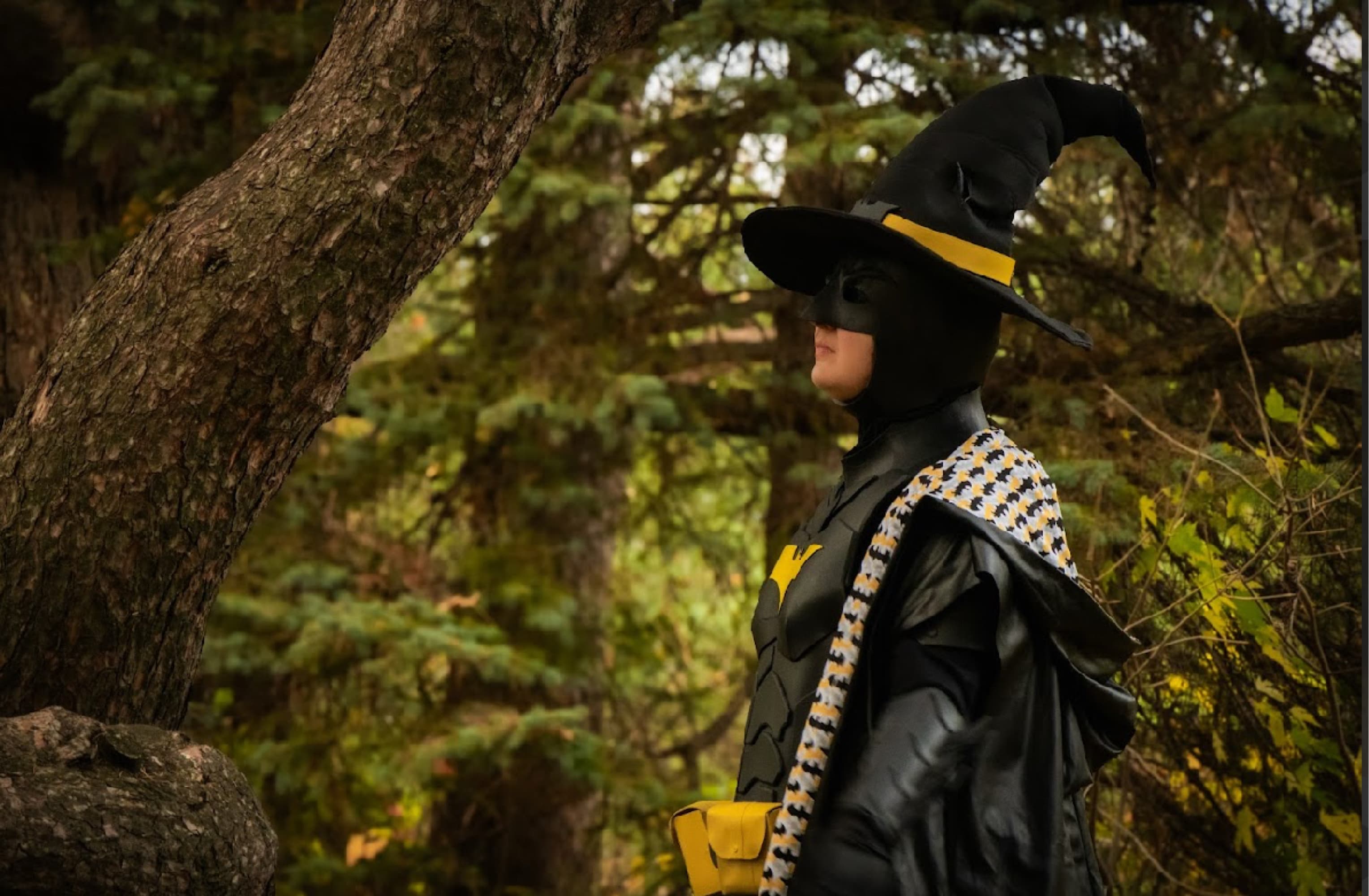 Batman Wizard - Photo 12