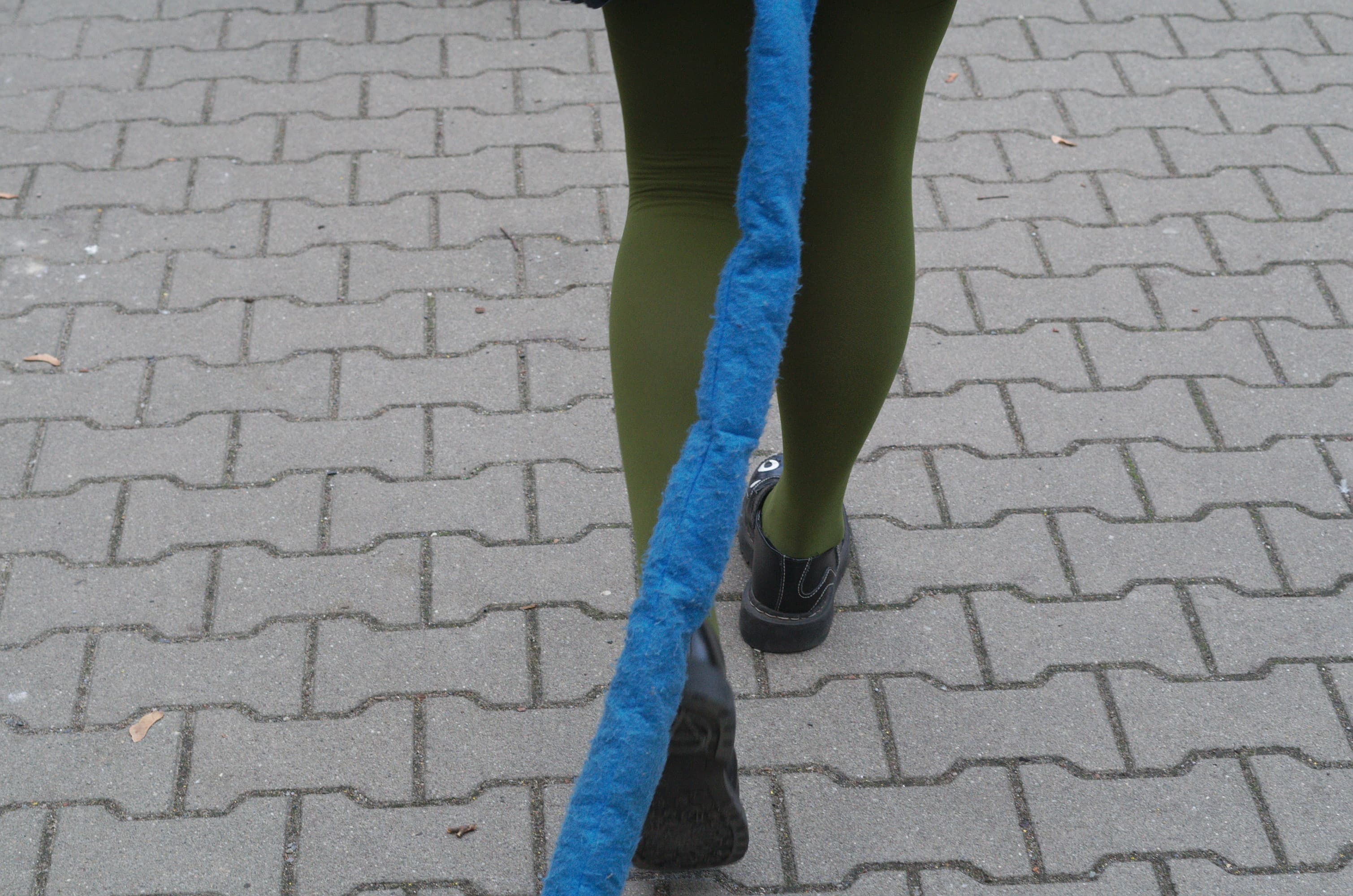 Meulin Leijon - Photo 10