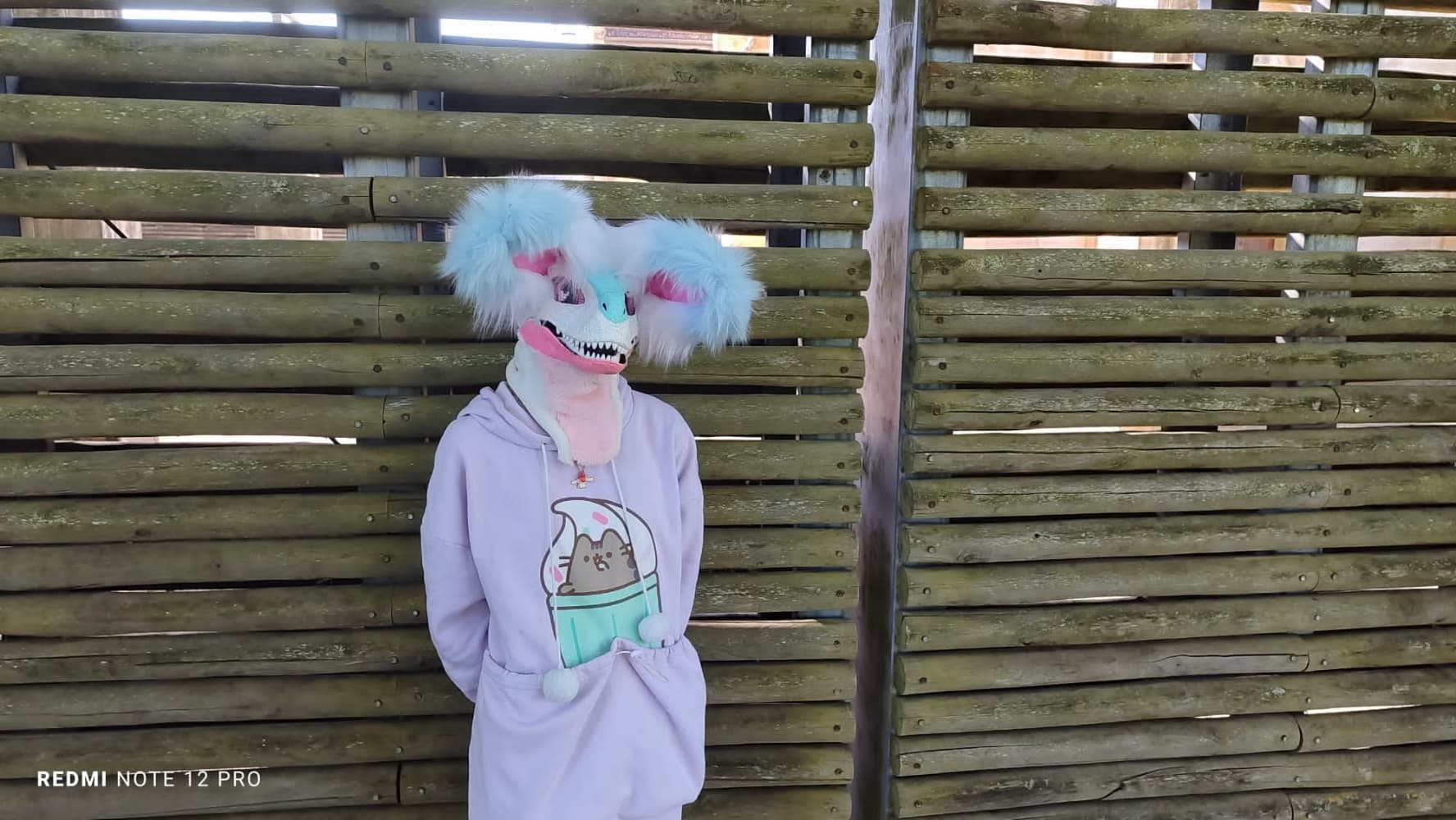 Debut du printemps  - Photo 4