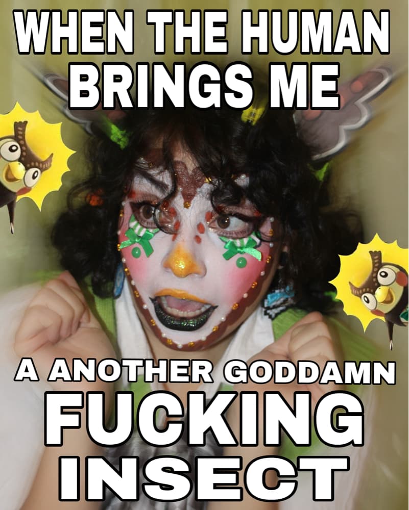 Animal Crossing   - Photo 2