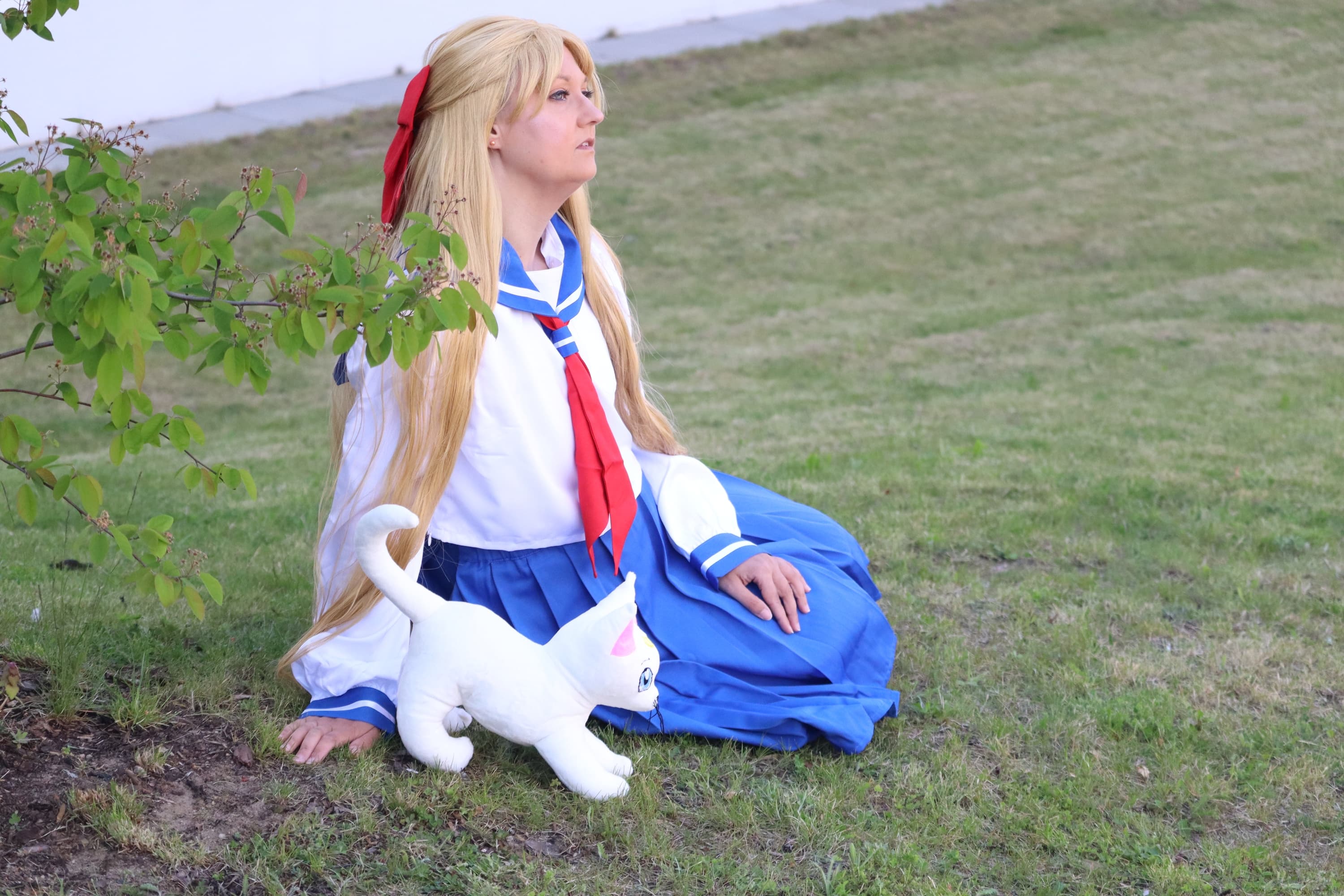 Minako Aino - Photo 43