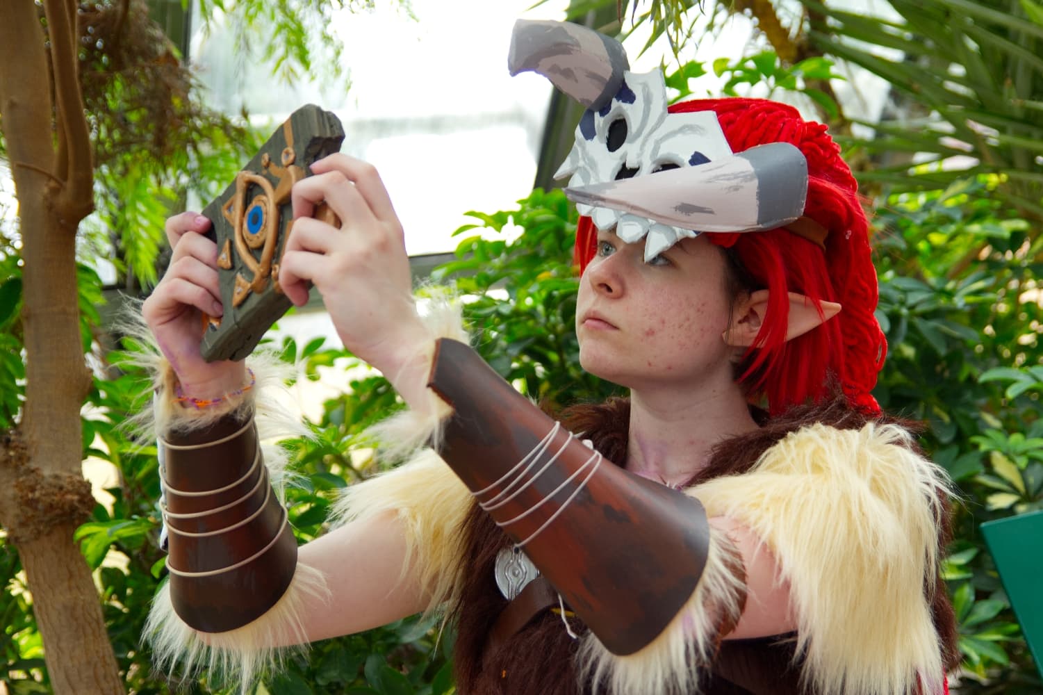 Barbarian link - Photo 4