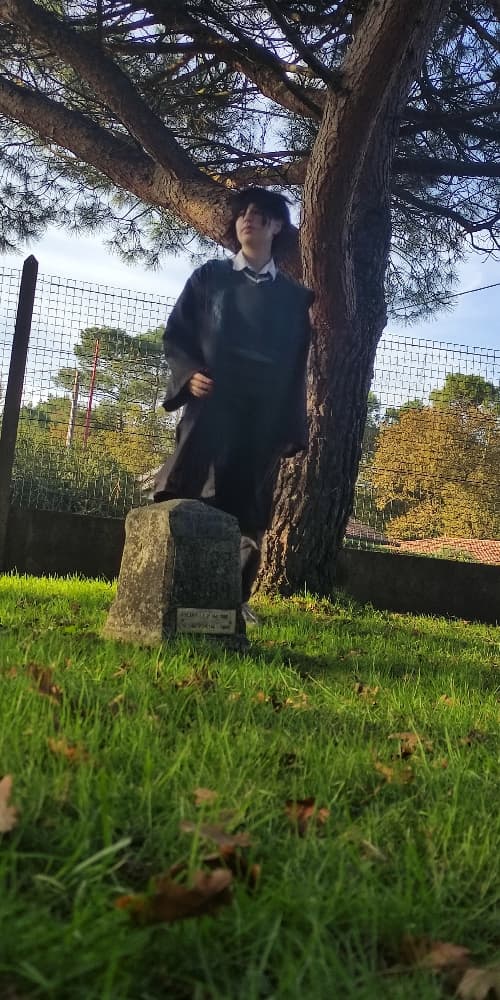 Régulus Black v1 - Photo 4