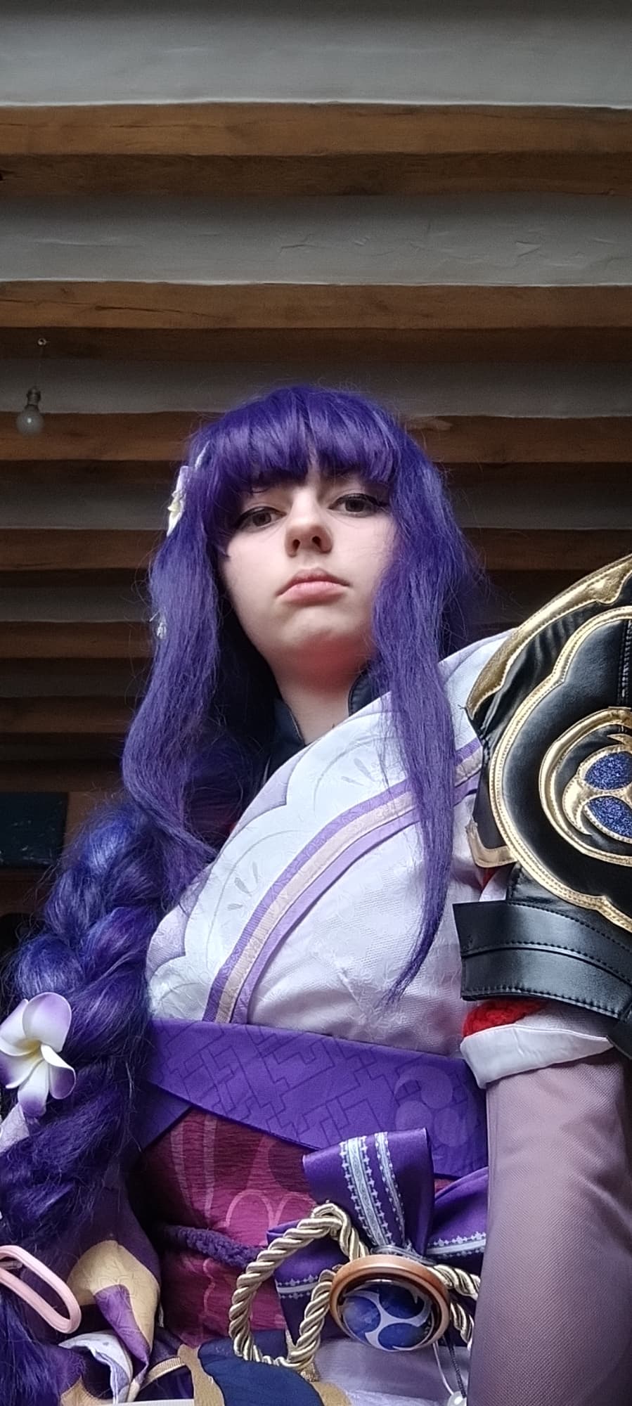 Raiden shogun  - Photo 15