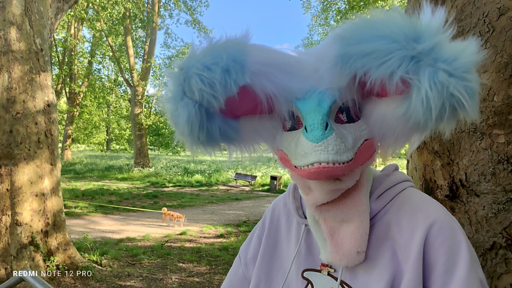 Debut du printemps  - Photo 13