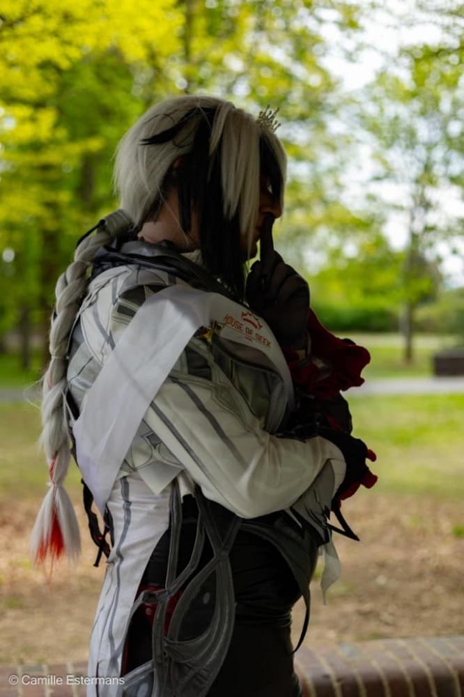 Arlecchino  - Photo 16