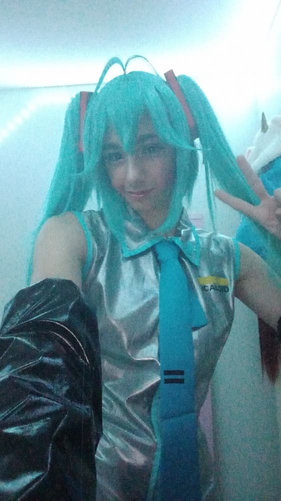 Hatsune miku  - Photo 7