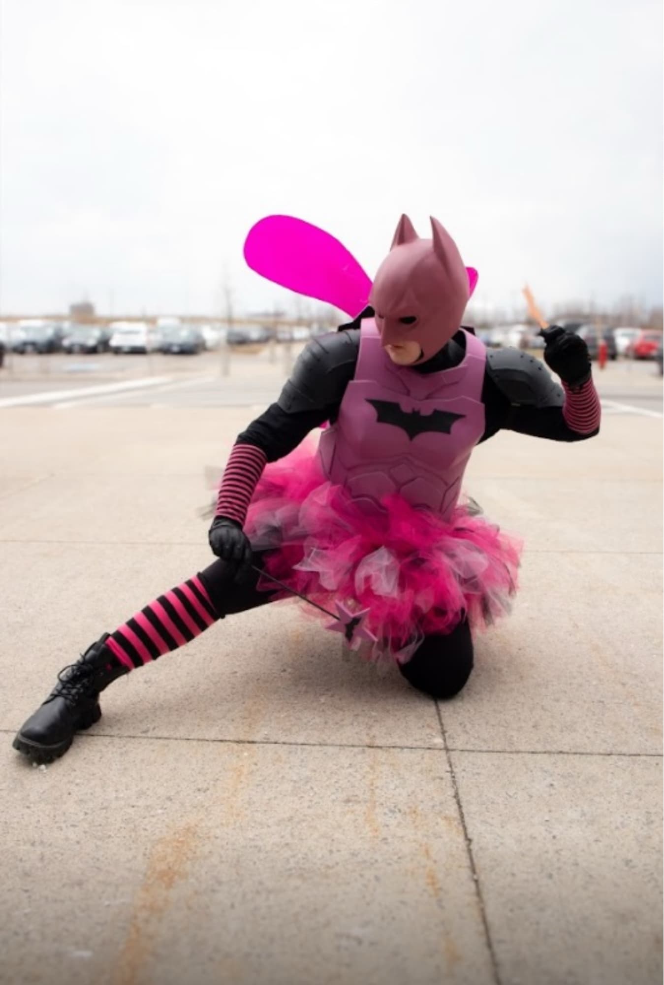 Batman Pink Fairy - Photo 7