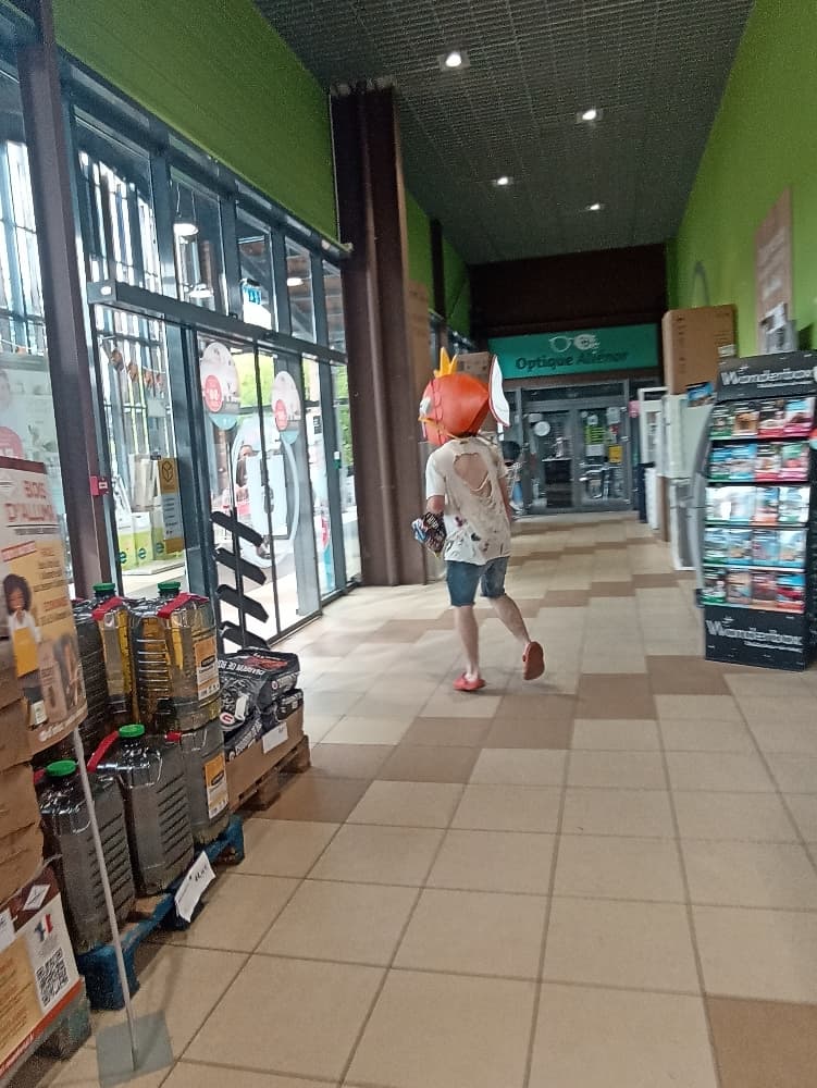 Magicarpe Zombie  - Photo 20