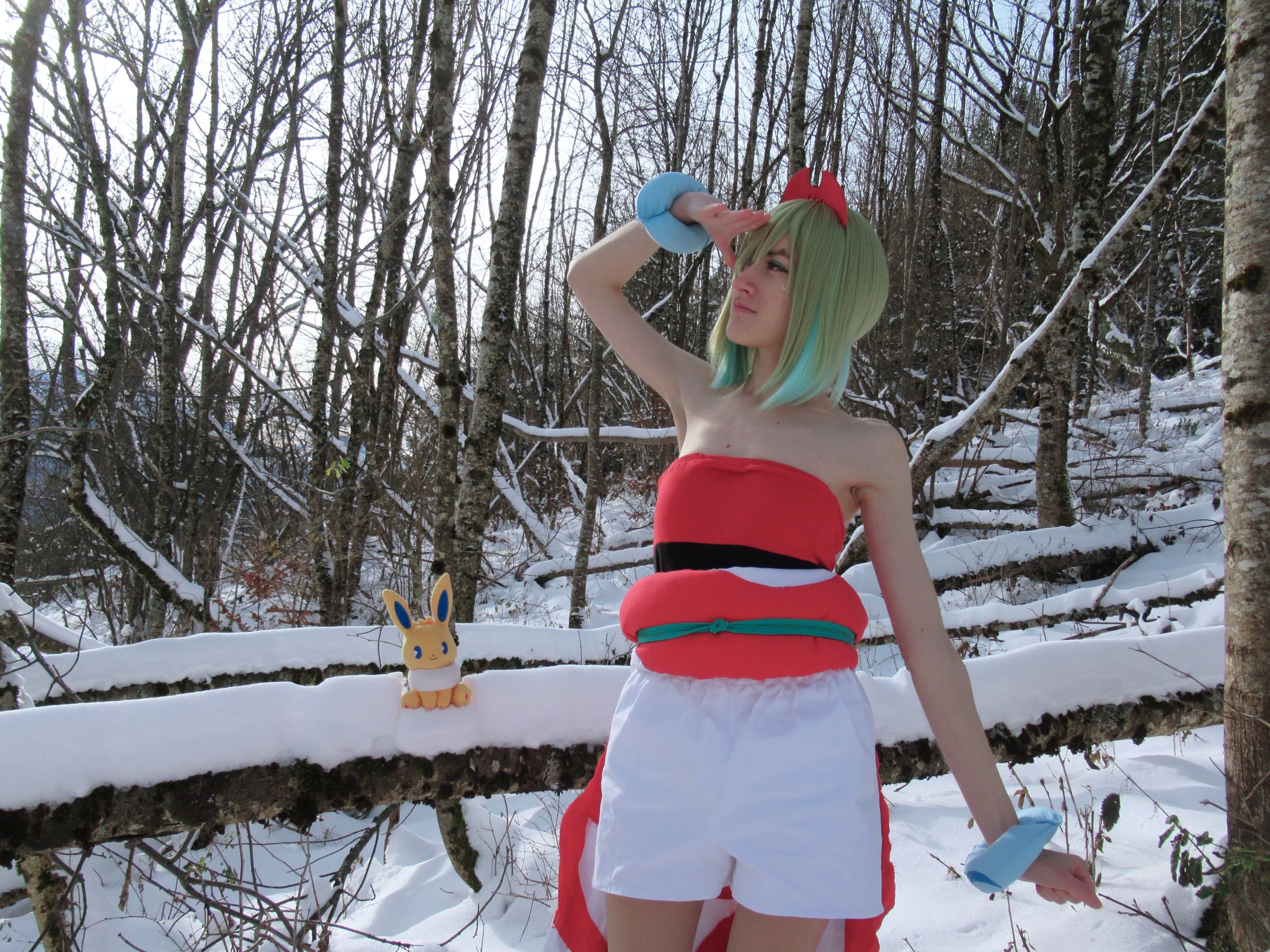 Nacchara (neige P3) - Photo 3