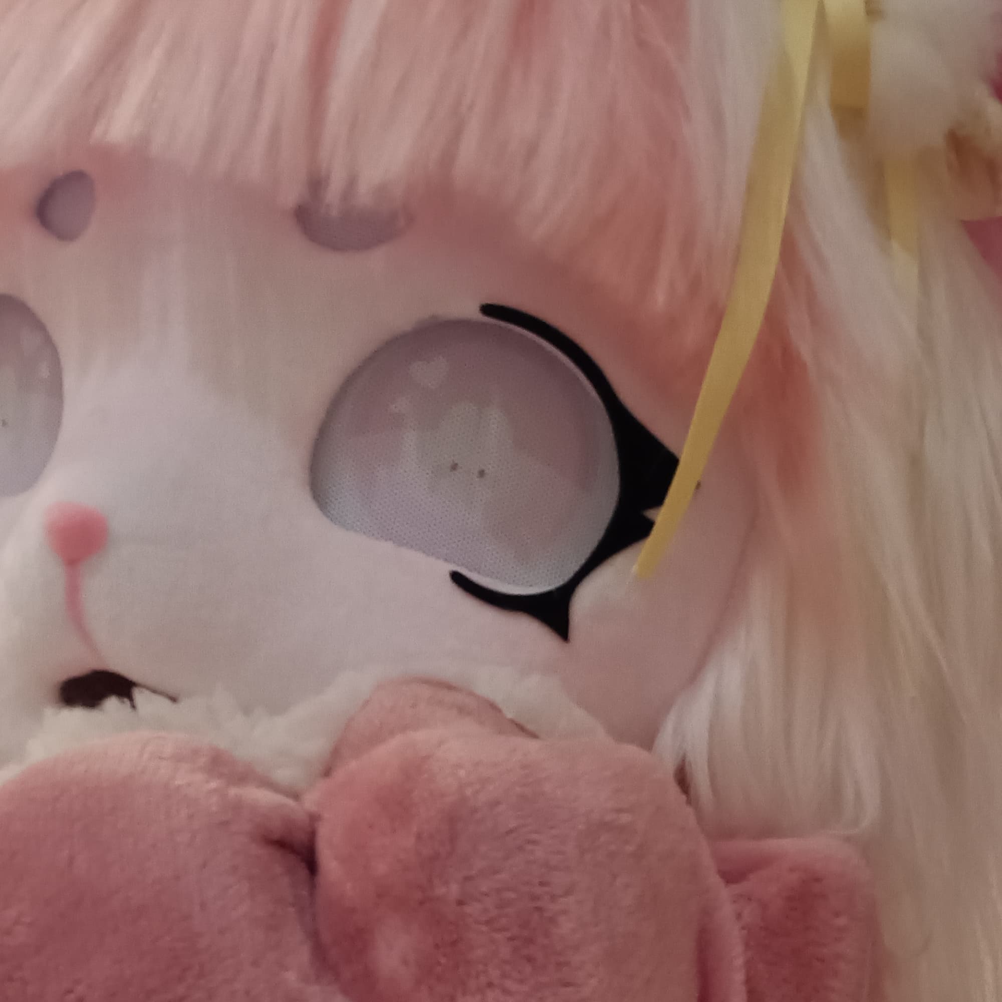 Fursuit - Furry cosplay photoshoot cover