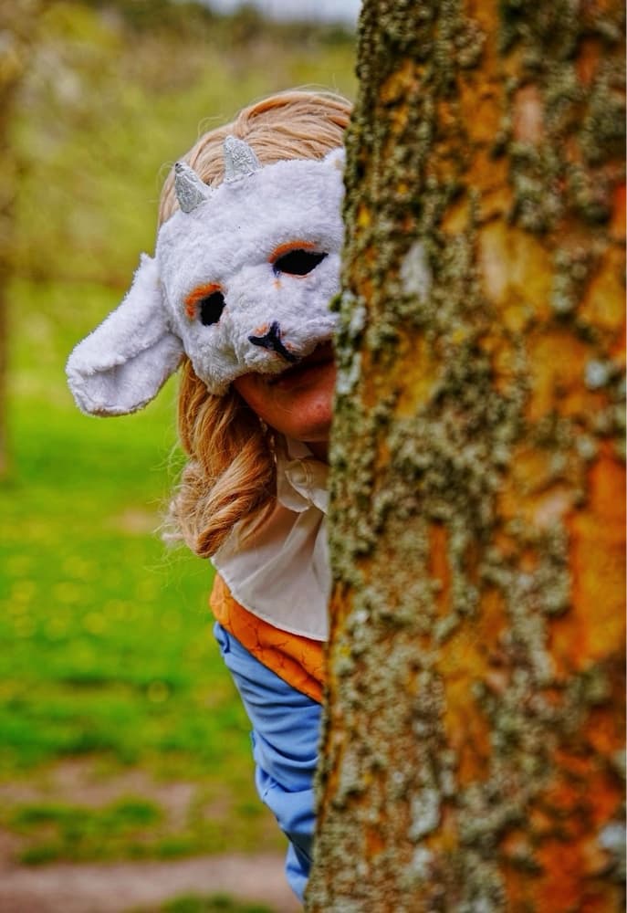 Clémentine - Photo 15