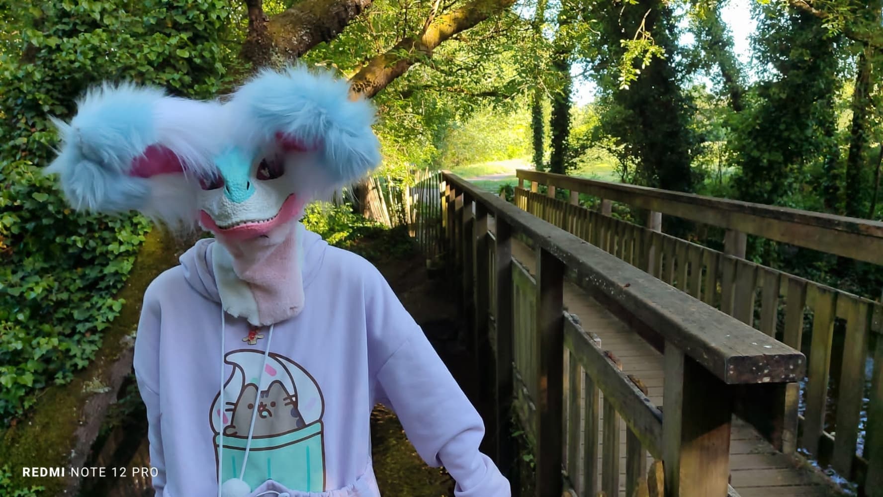 Debut du printemps  - Photo 38