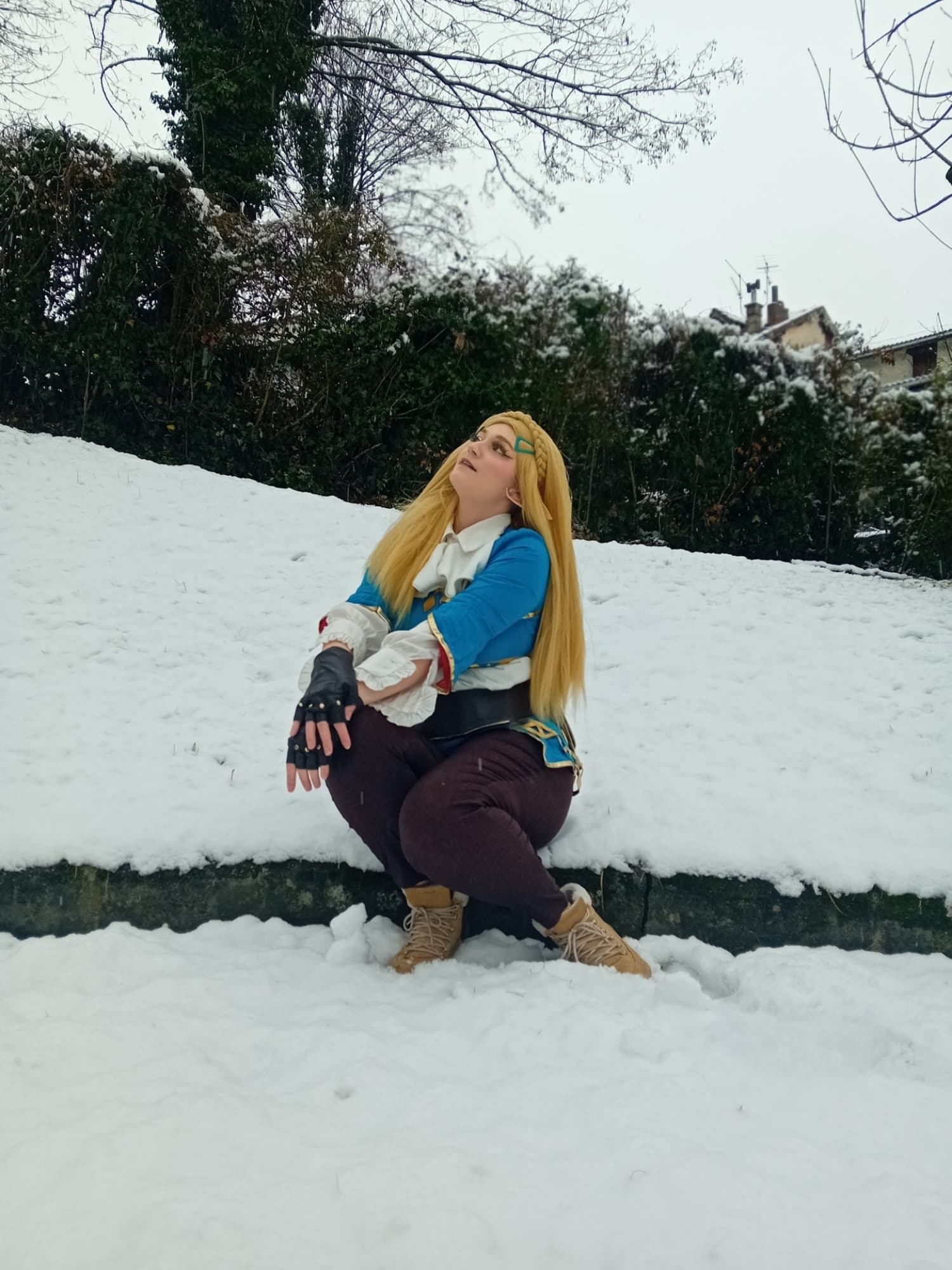 Zelda v3 - Photo 1