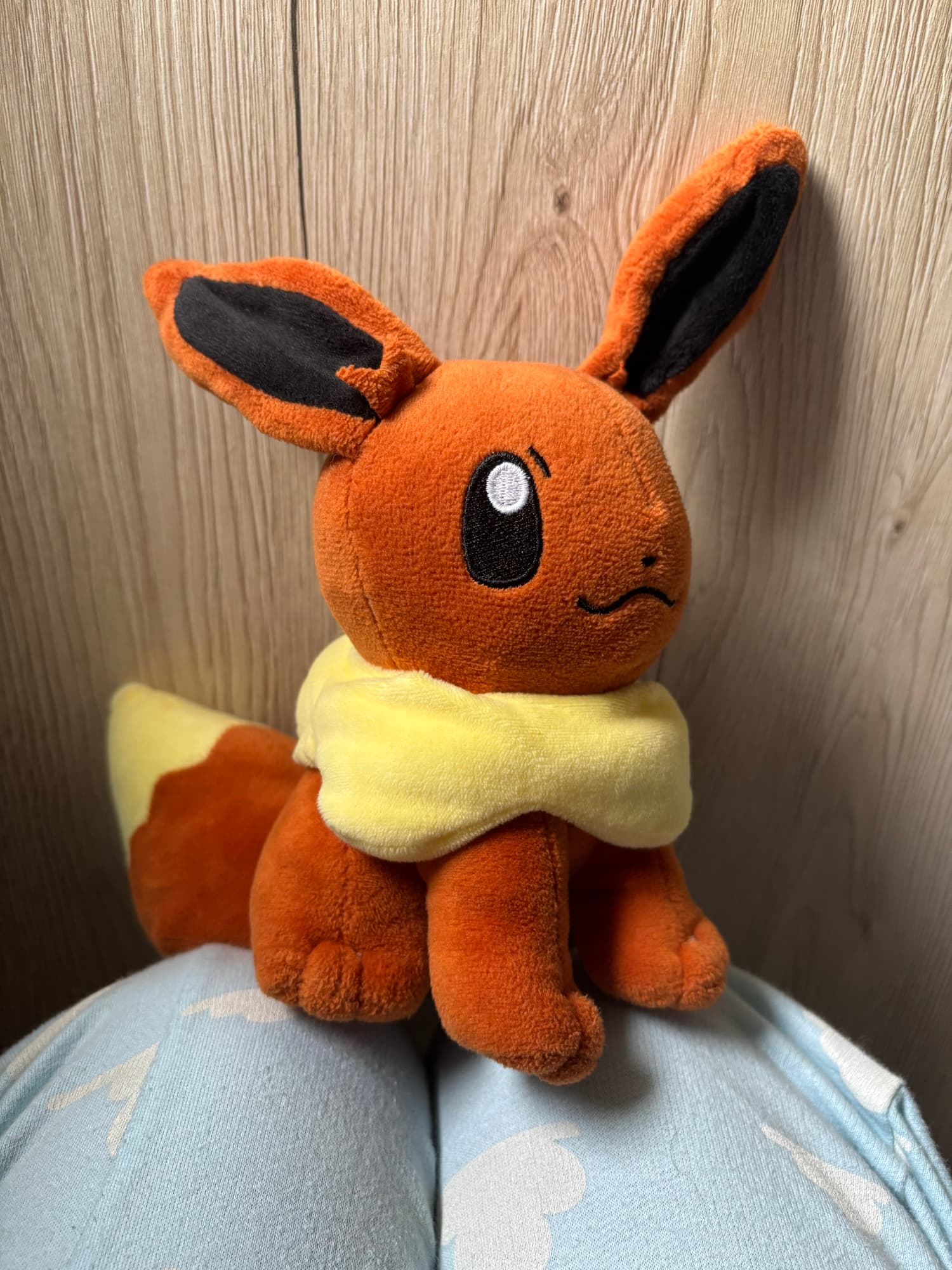 Evoli en Pyroli  - Photo 10