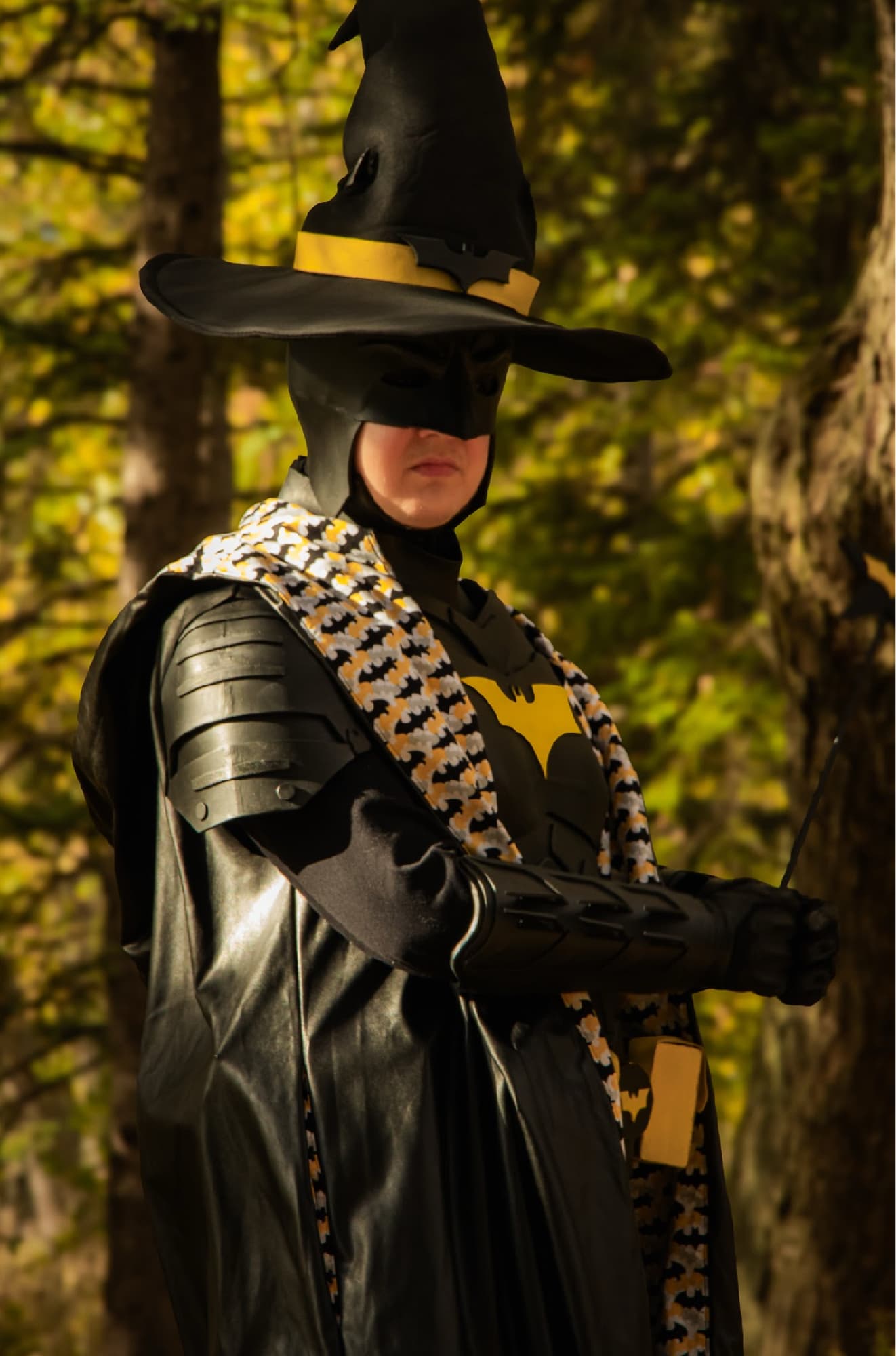 Batman Wizard - Photo 11