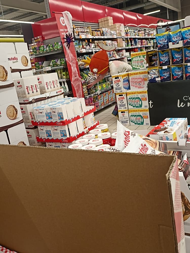 Magicarpe Zombie  - Photo 16