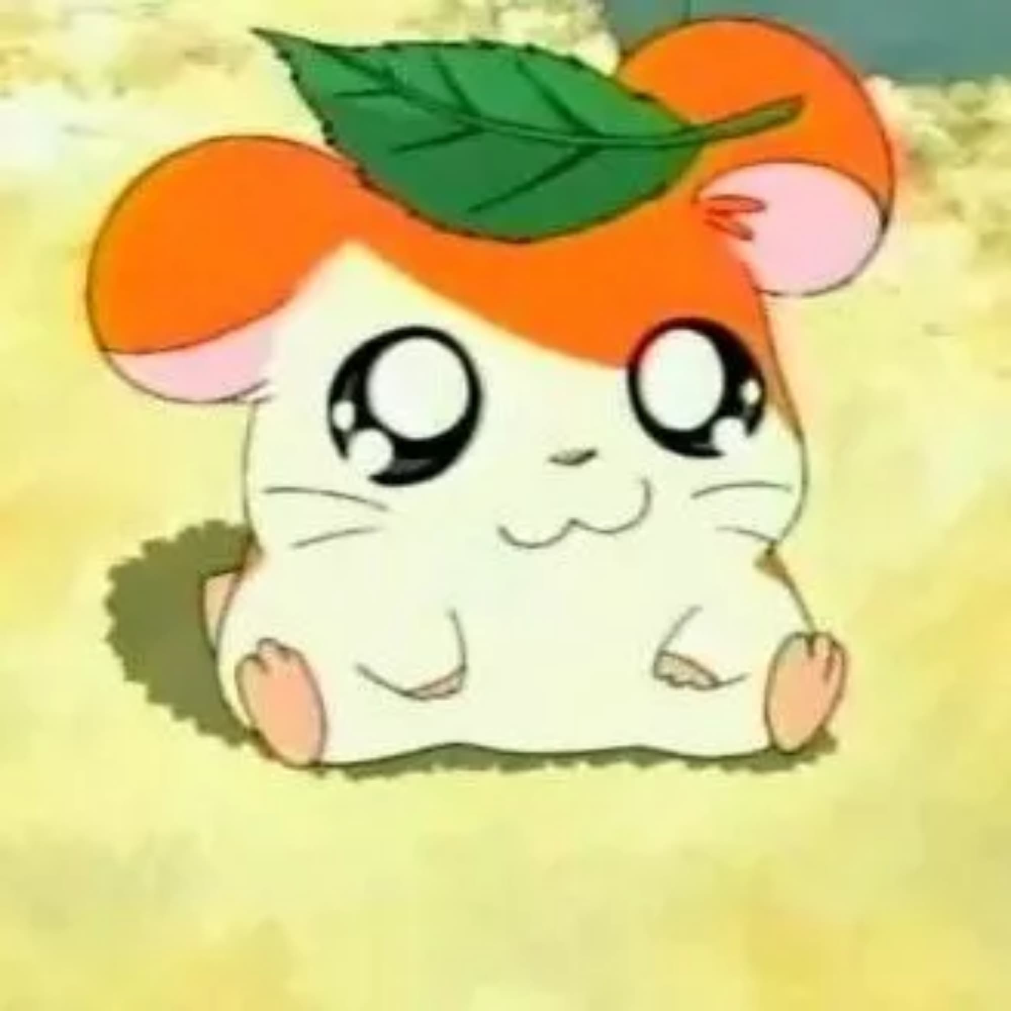 Hamtaro (Gijinka)