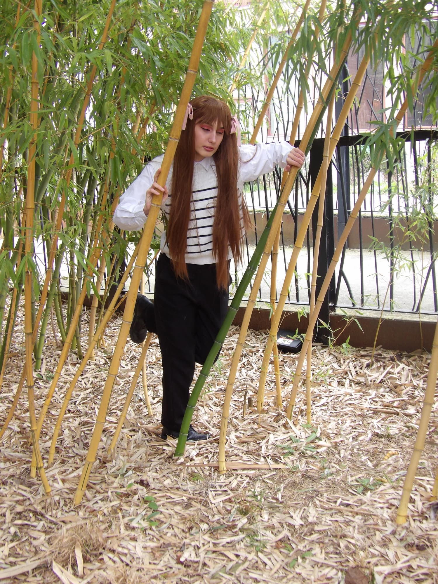 Tohru Honda  - Photo 29