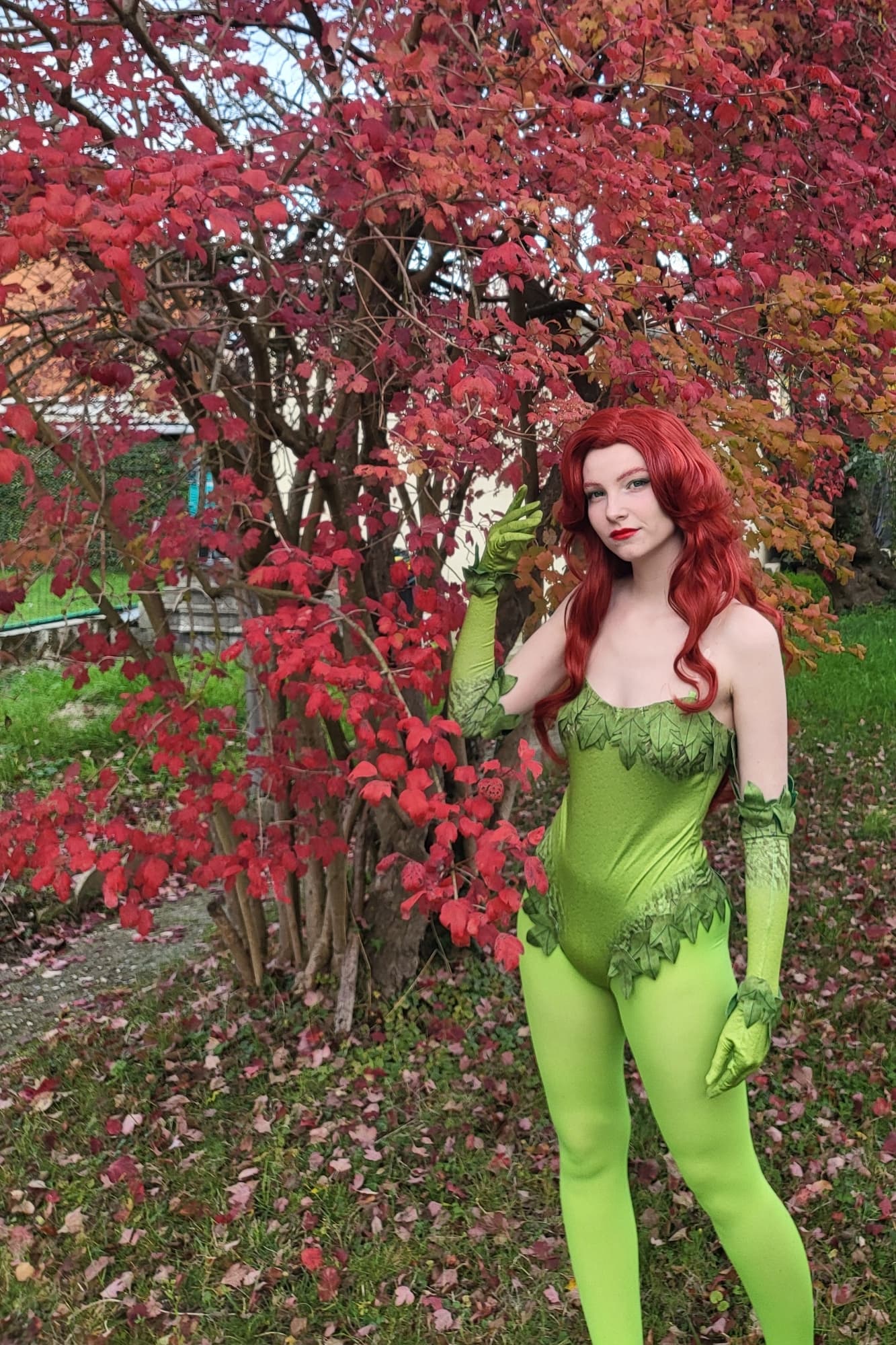 Halloween 2025 - Photo 6