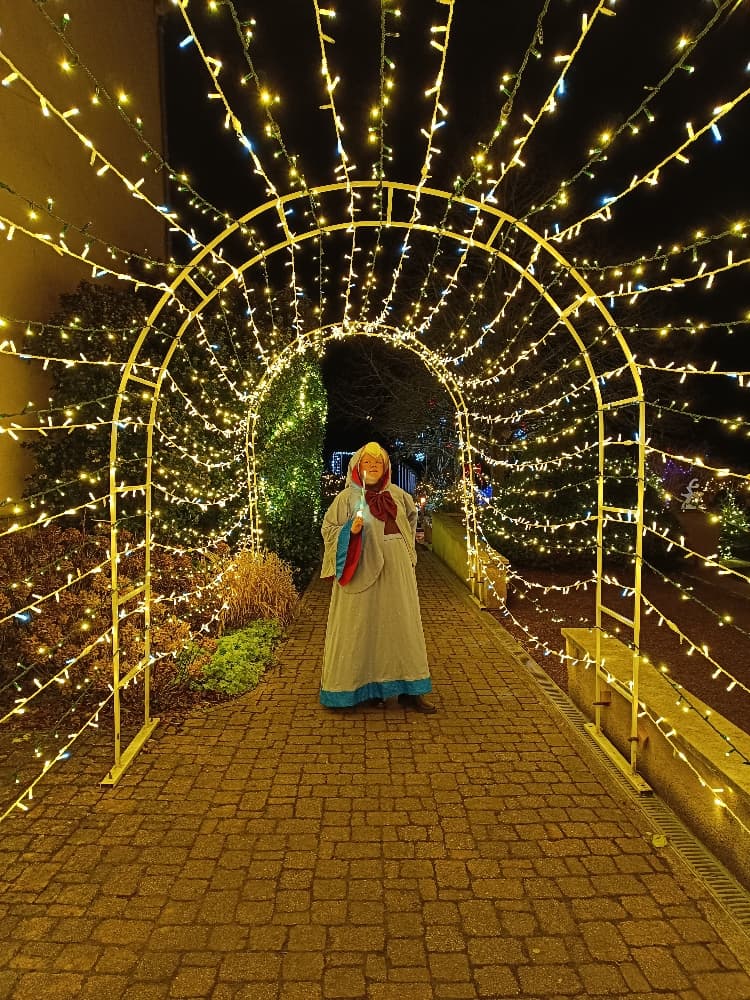 Bonne fée de Noël  - Photo 24