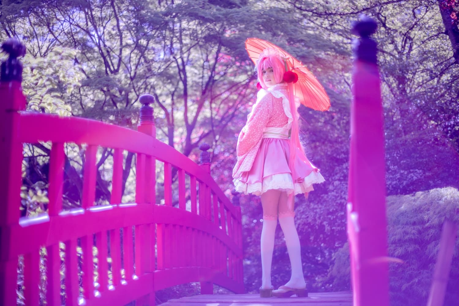 Sakura Miku -Hanami- - Photo 11