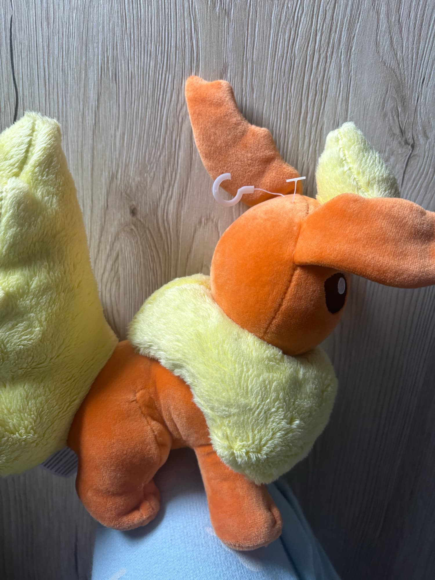 Evoli en Pyroli  - Photo 18