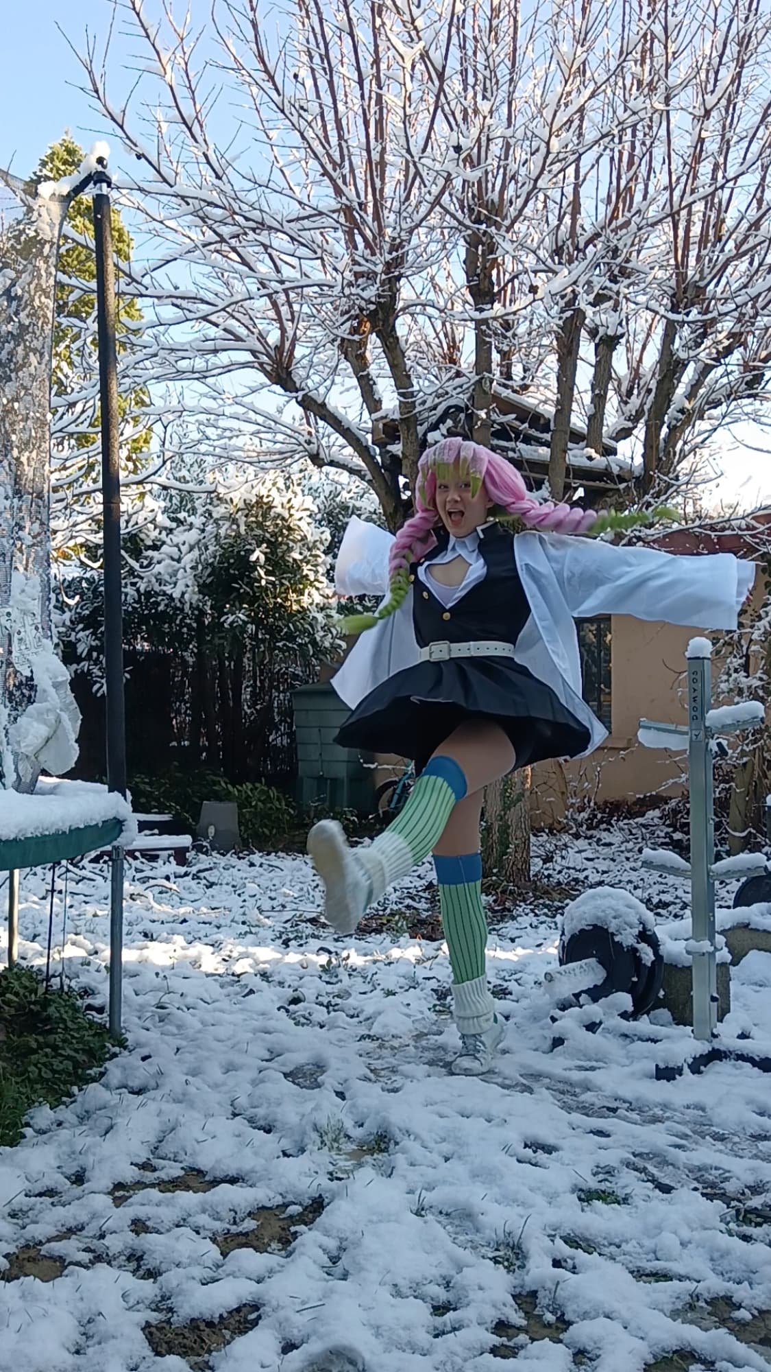 Mitsuri Kanroji - Photo 35