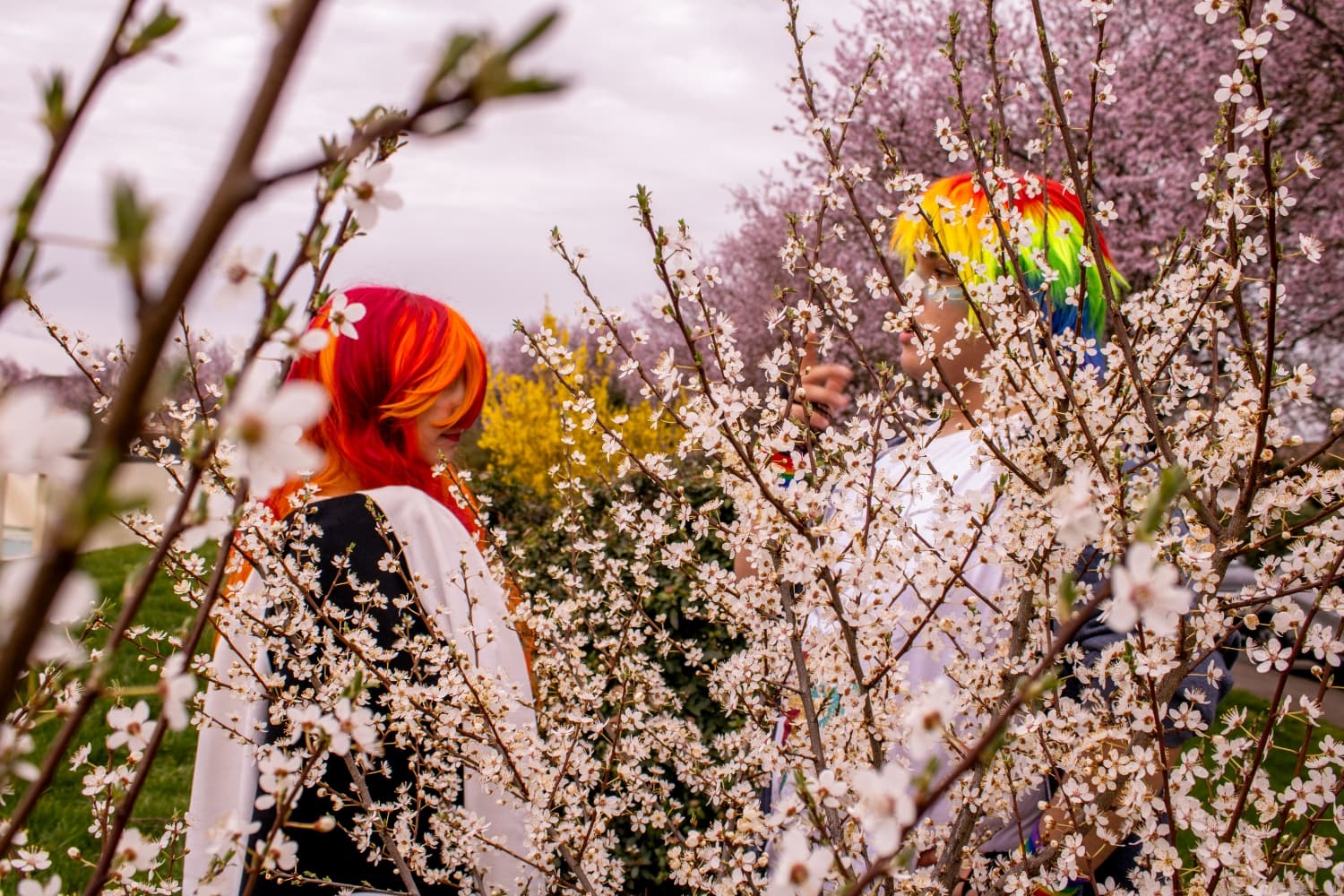 My Little Pony - Photo 16