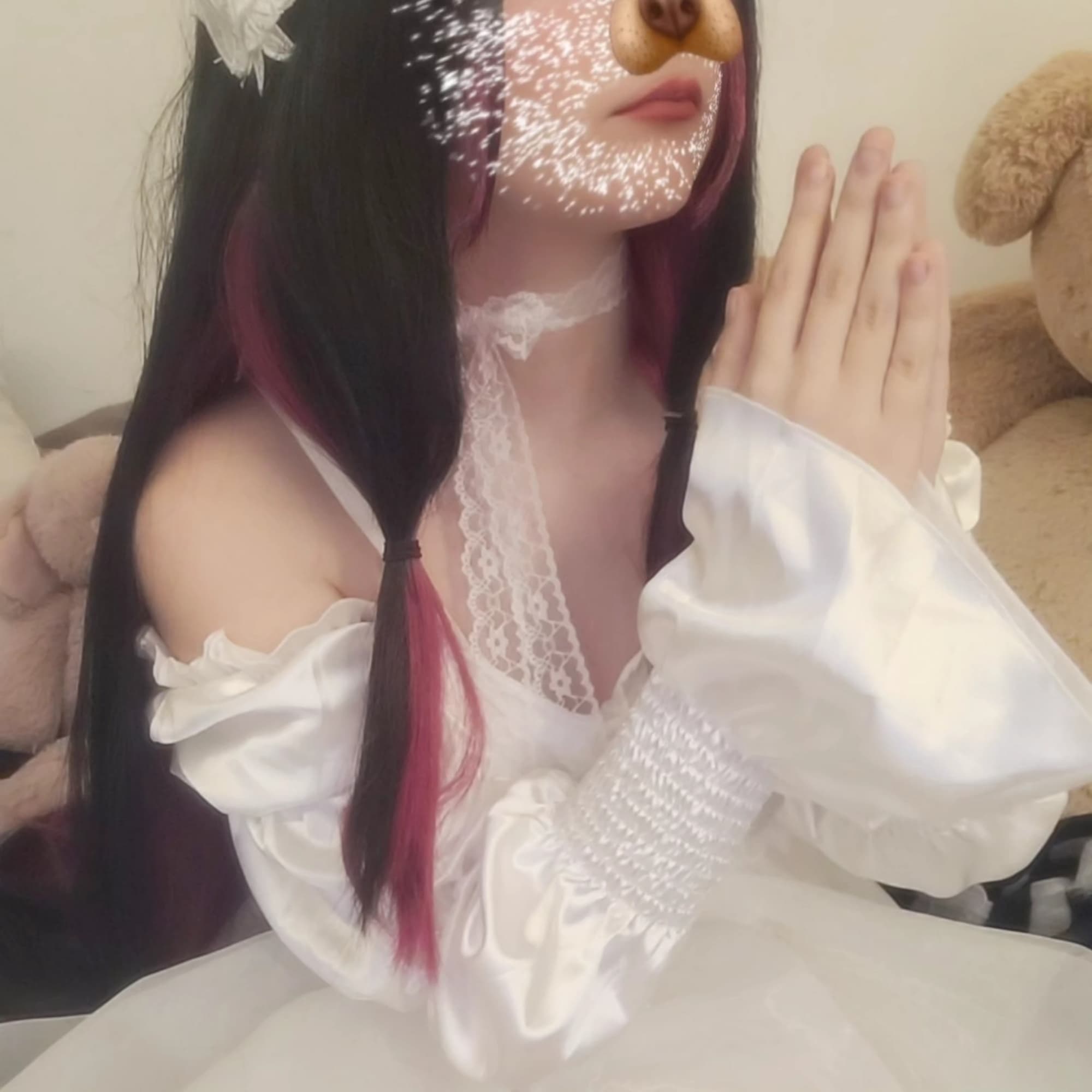 Columbina  - Photo 1