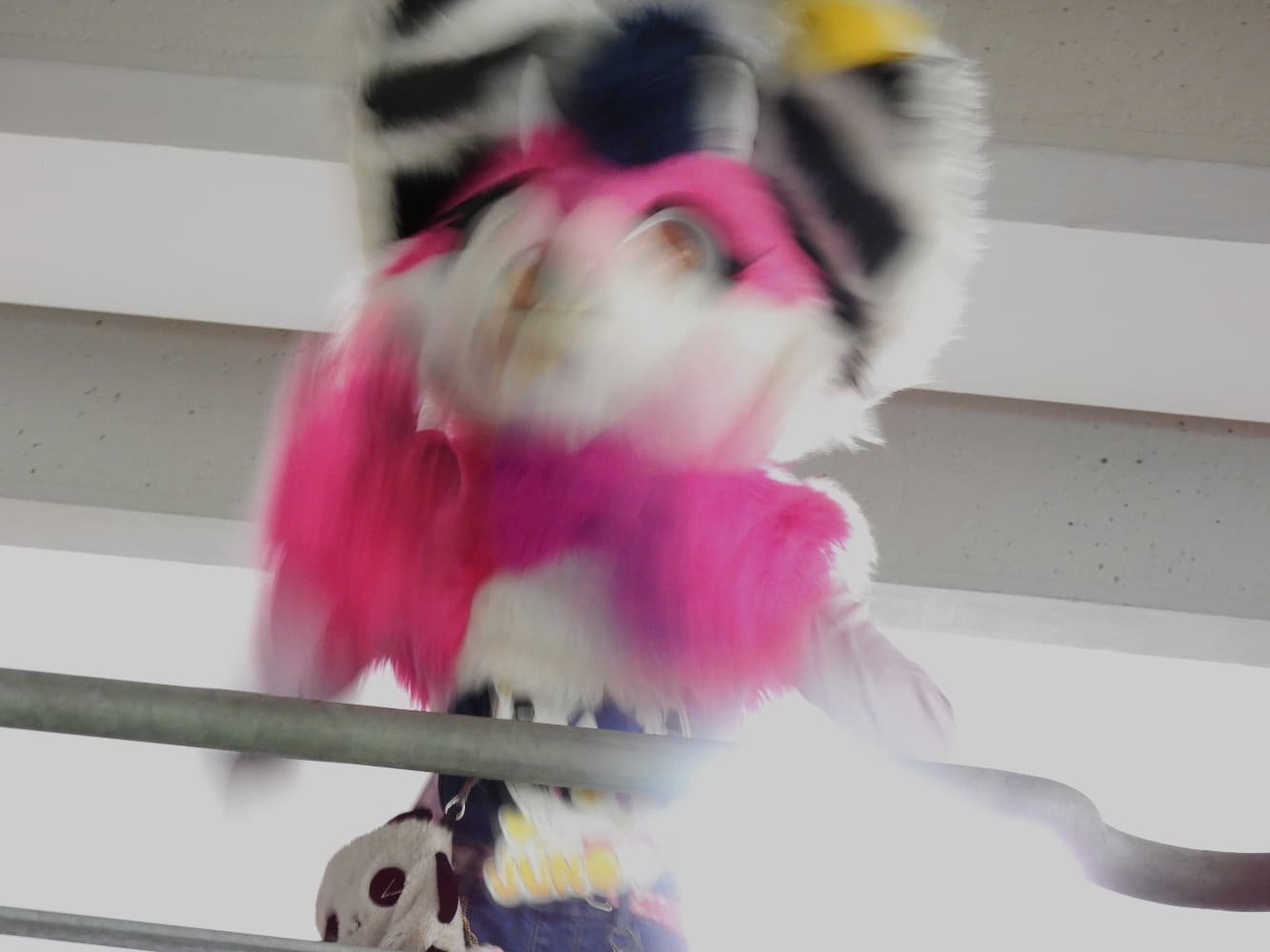 Juno - animasia  - Photo 4