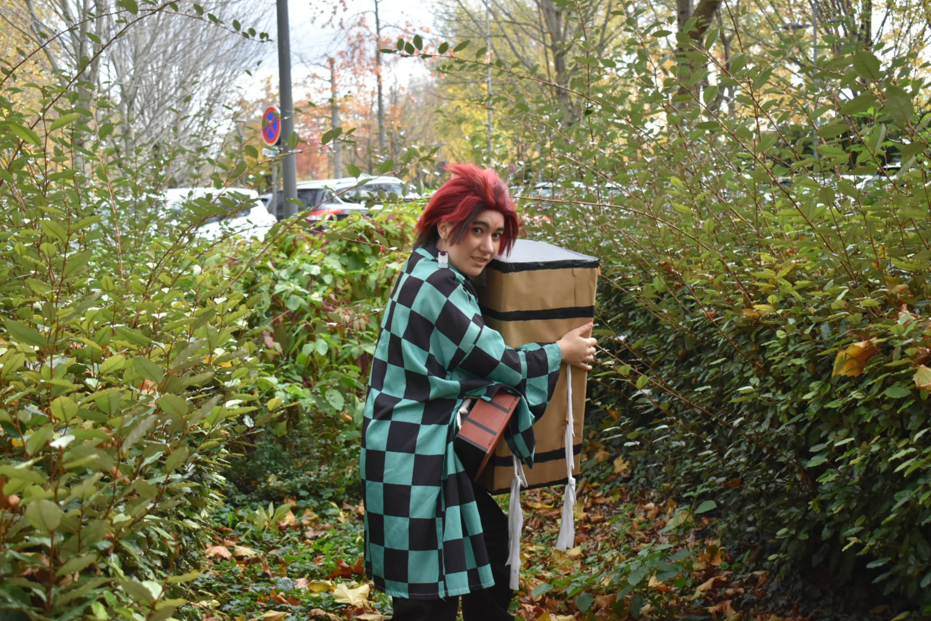 Tanjiro kamado  - Photo 11