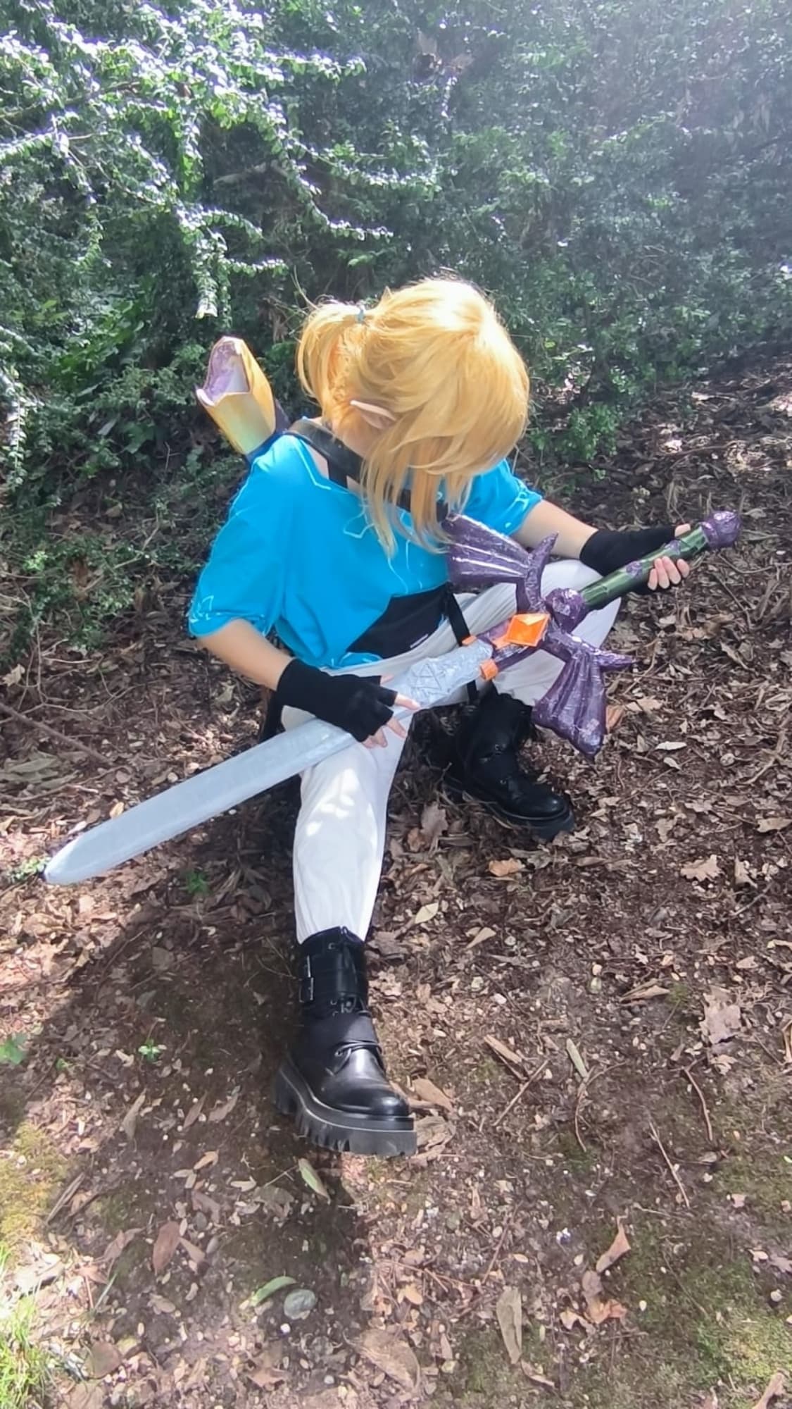 Link - Botw - Photo 1