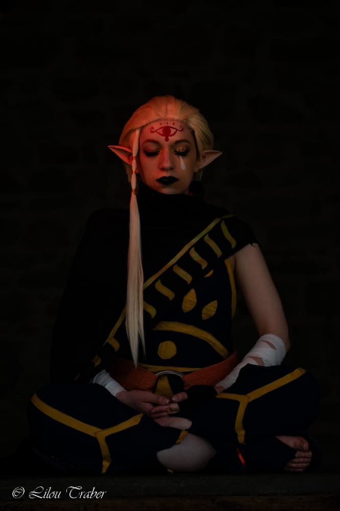 Shoot Skyward Sword - Photo 2