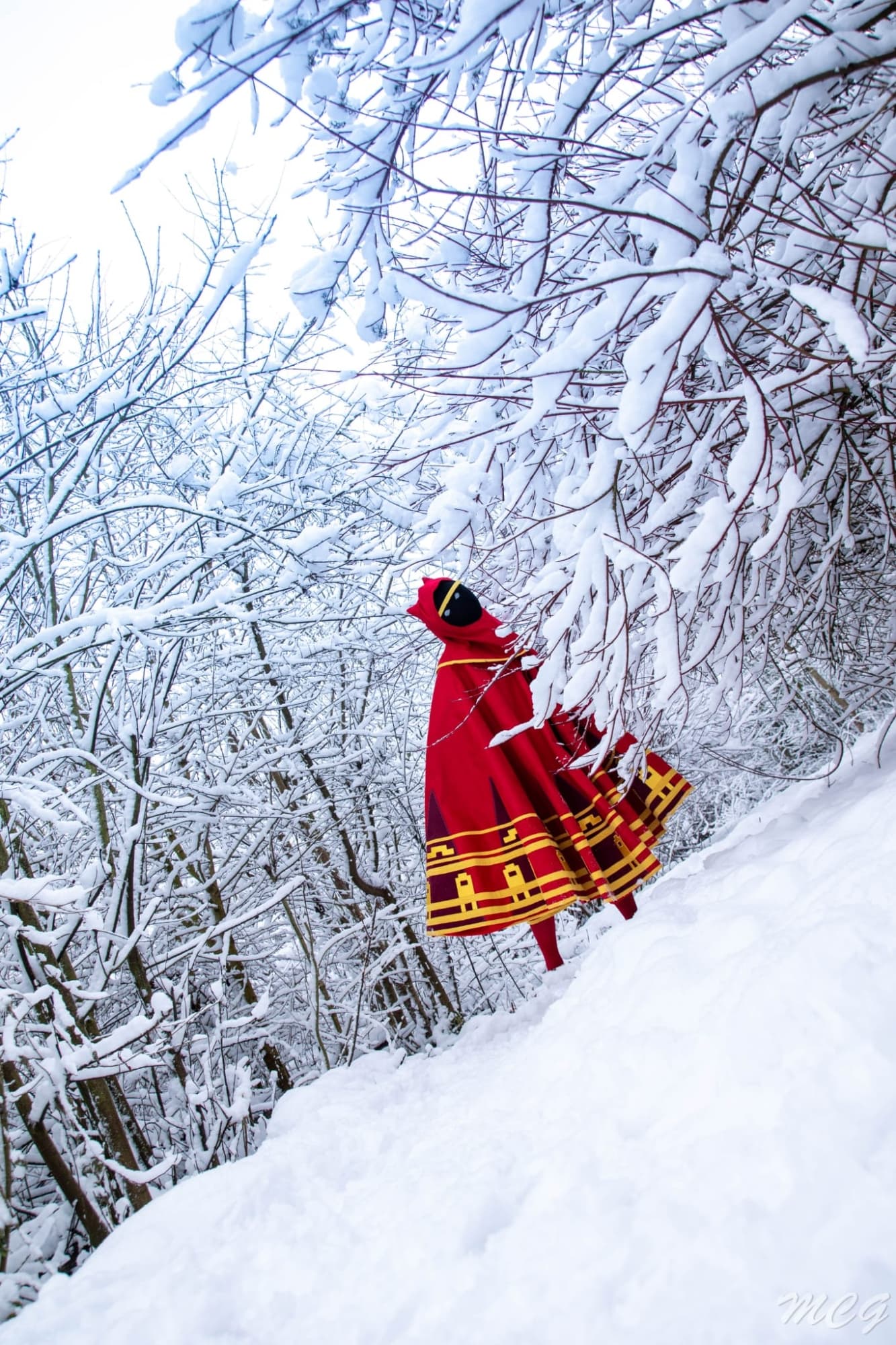 Snow Journey - Photo 2