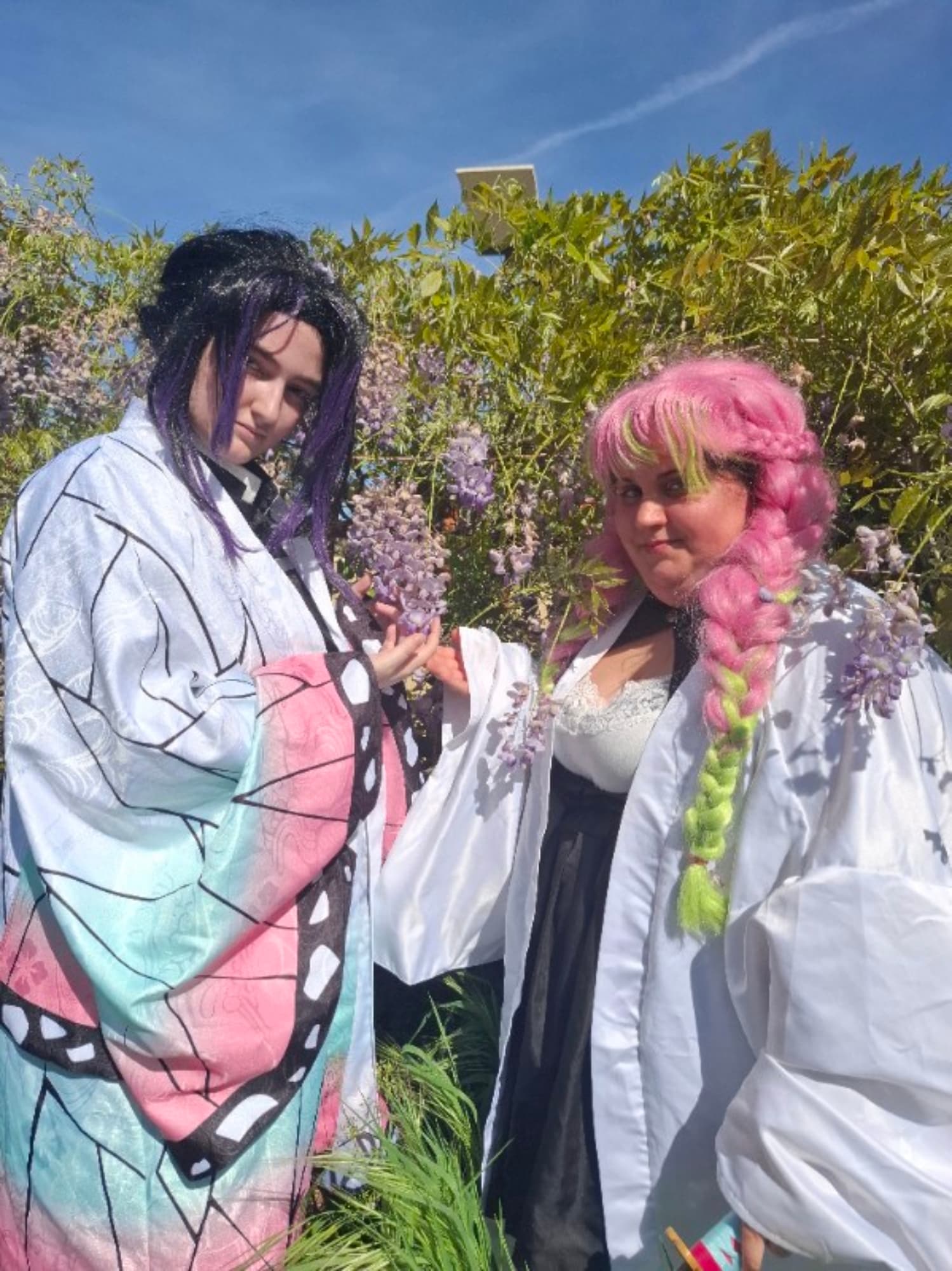 Shinobu et Mitsuri - Photo 1