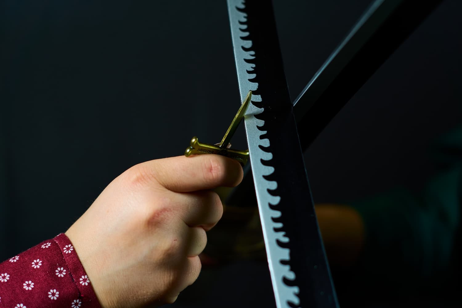 Metztorii 2024 - Photo 5