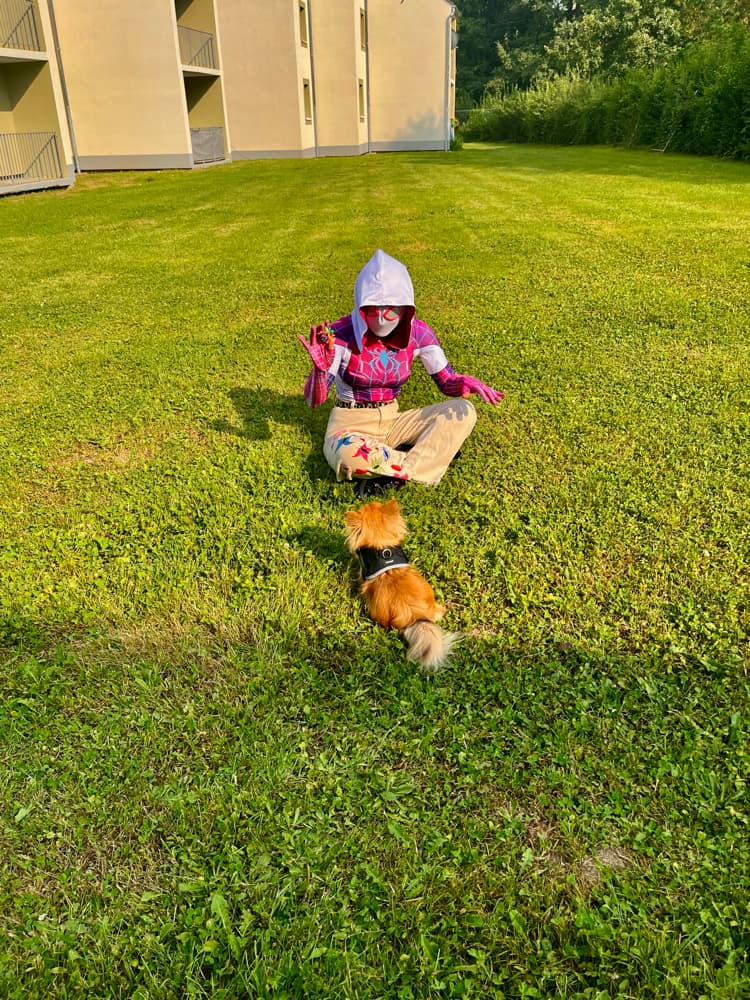 Spider butterfly  - Photo 5