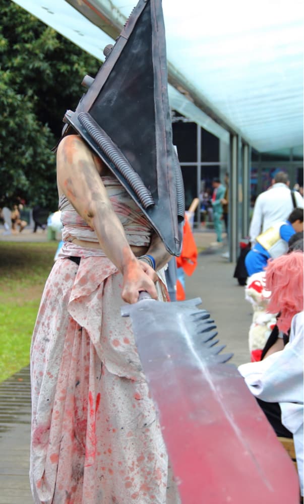 Pyramid head  - Photo 4