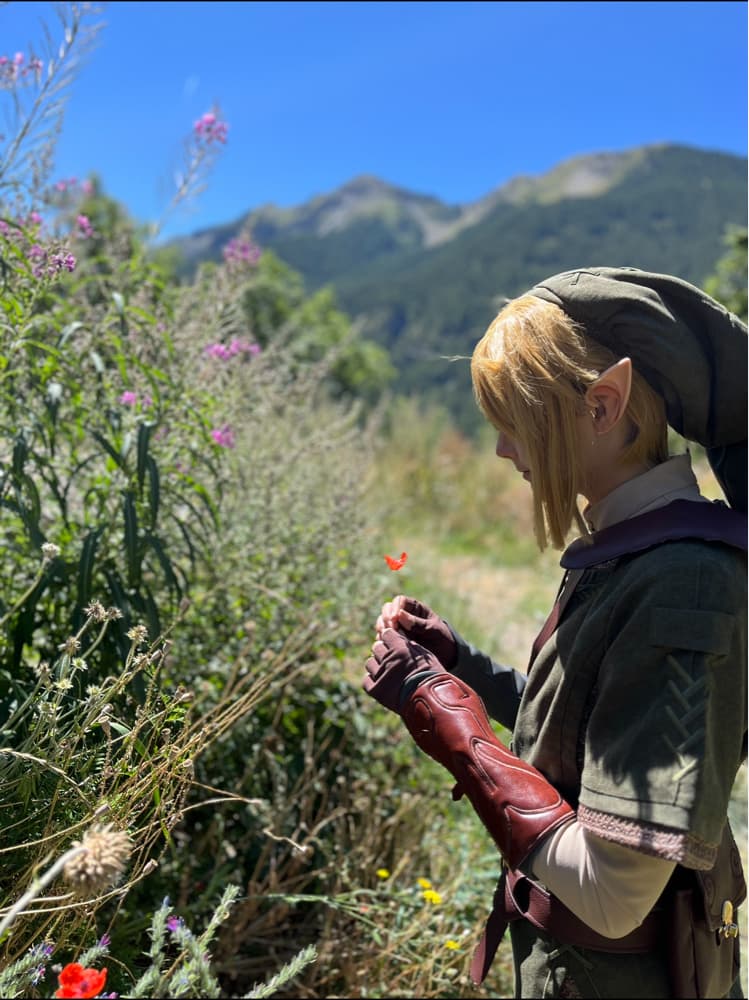 Link - Zelda TP - Photo 4